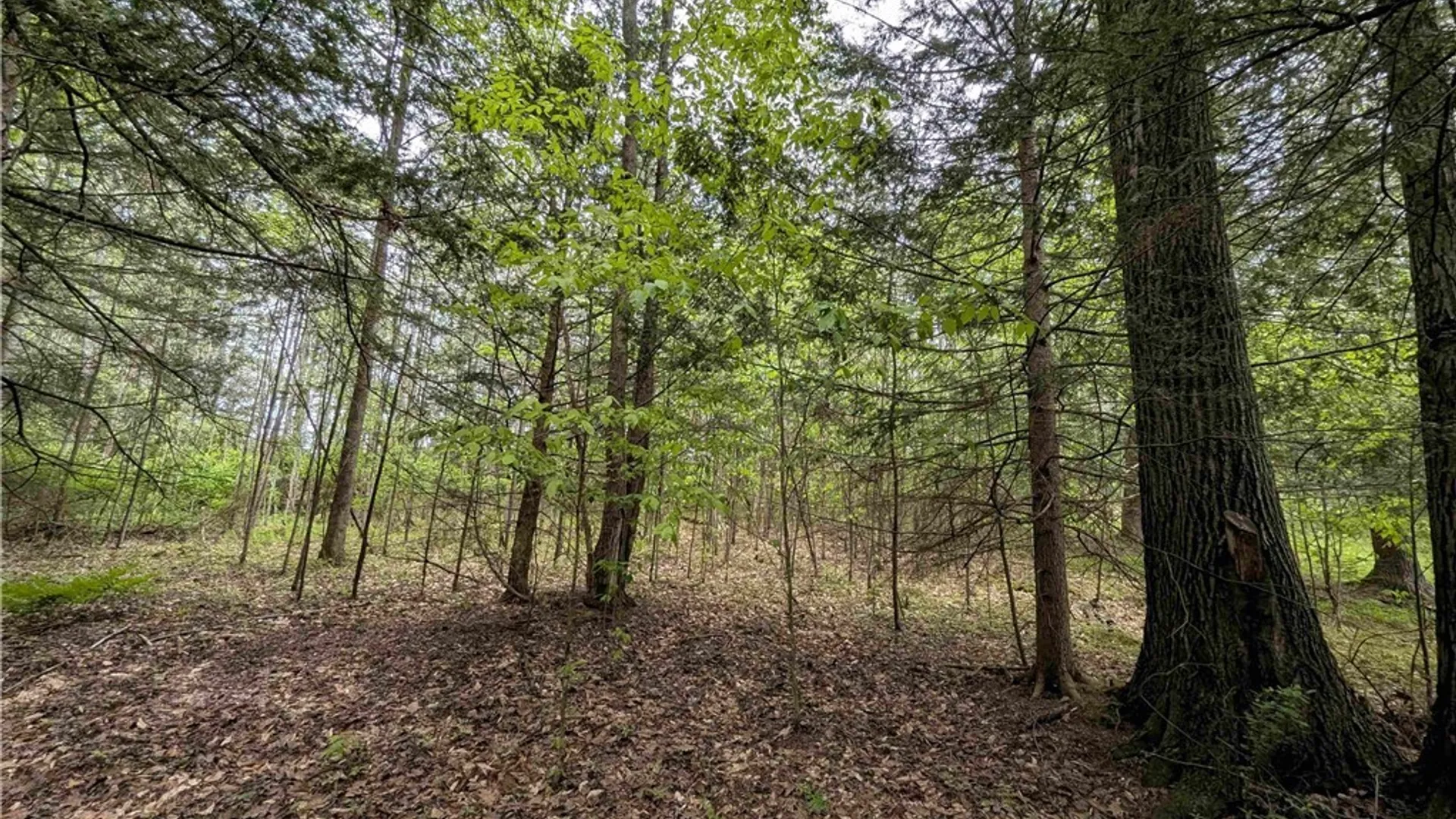 Property at Stewart Road, Tuscarora, NY 14801 27