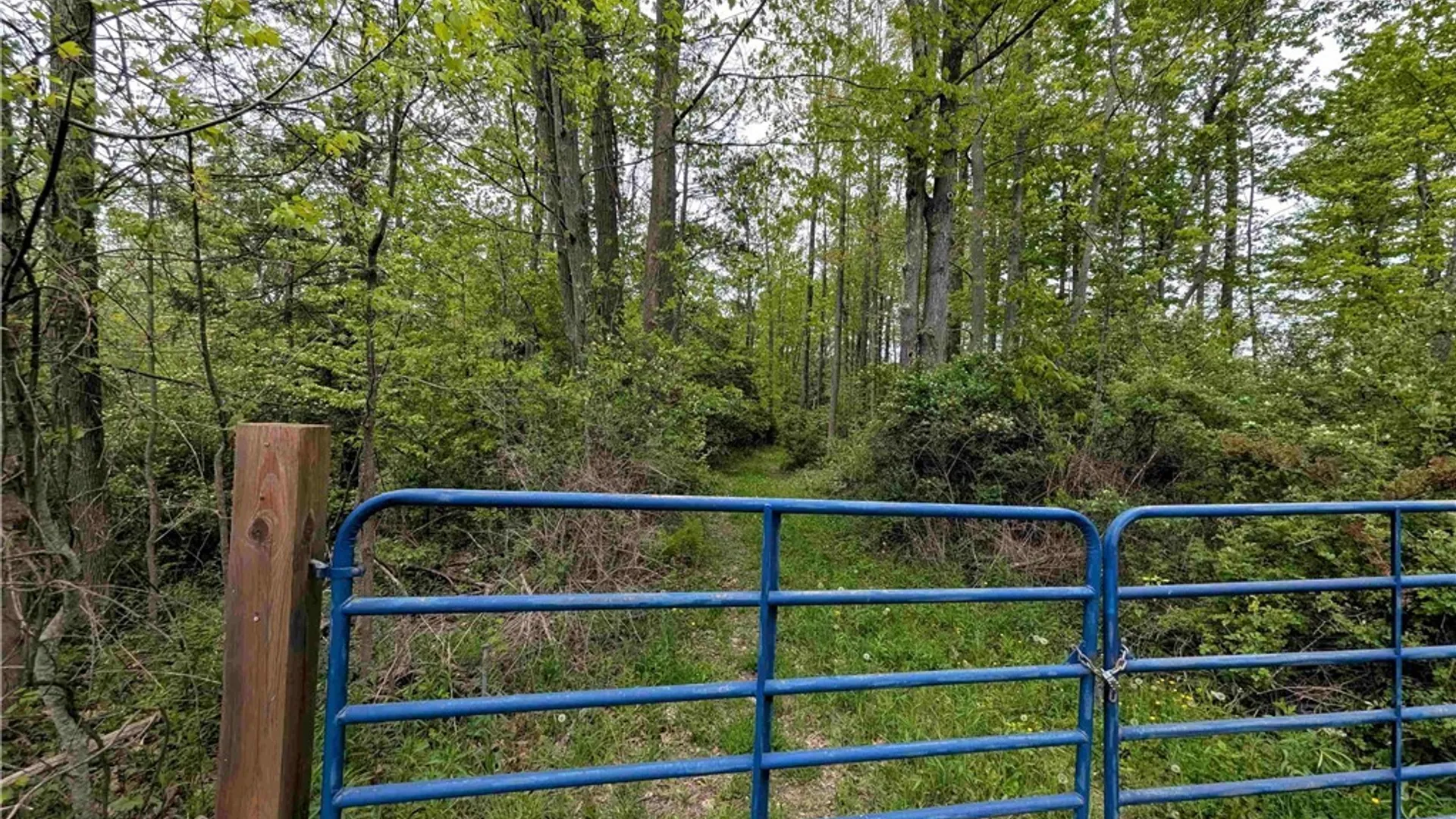 Property at Stewart Road, Tuscarora, NY 14801 30