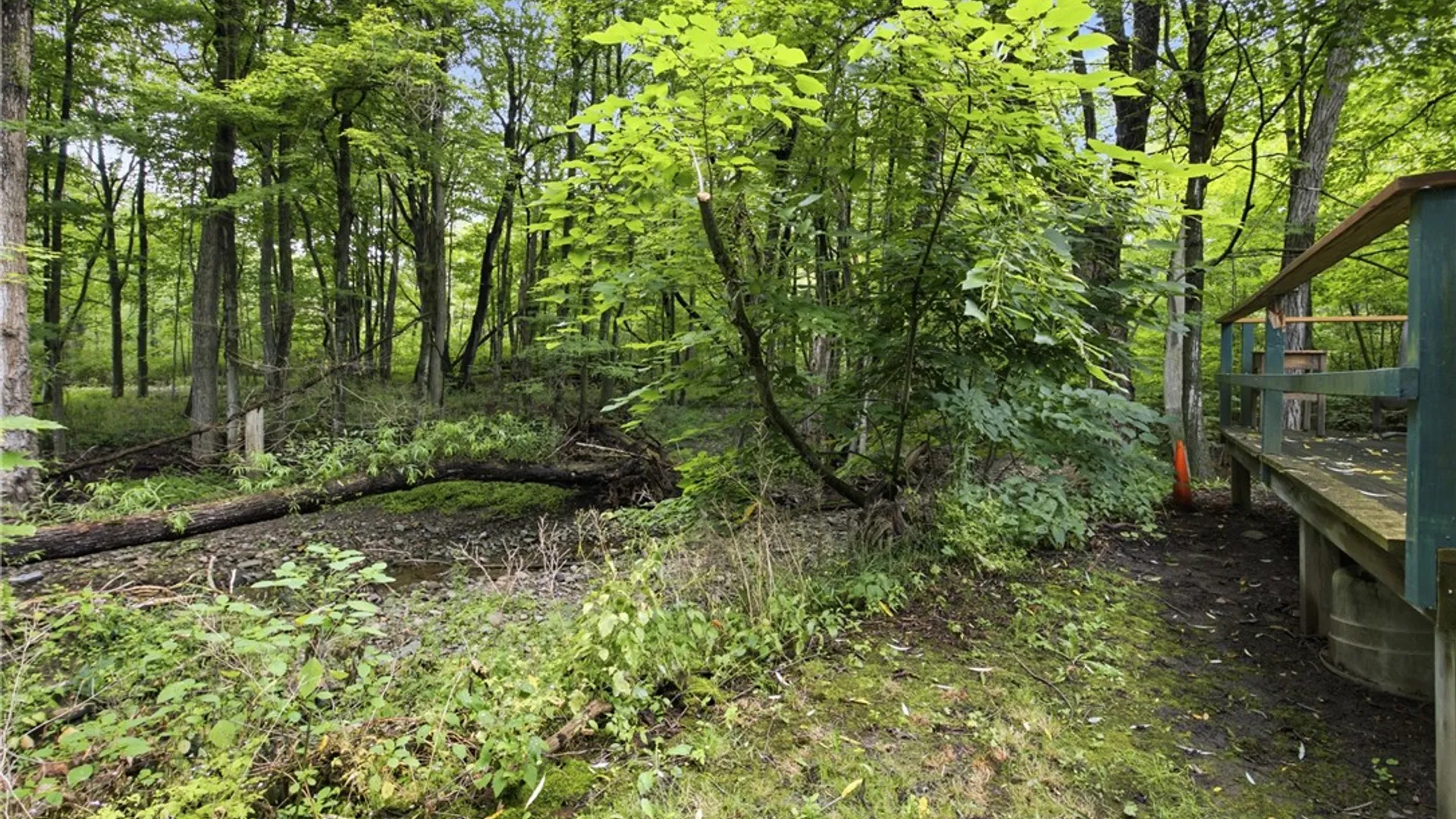 Property at 7843 Williams Road, Prattsburgh, NY 14873 7
