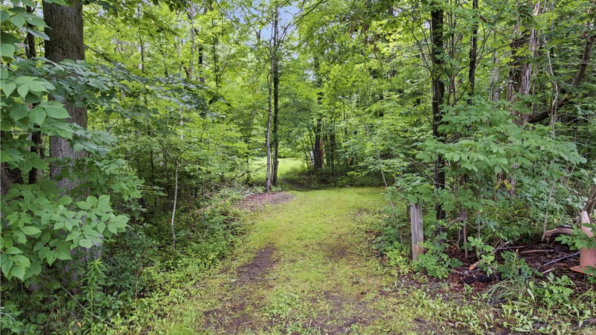 Property at 7843 Williams Road, Prattsburgh, NY 14873 22