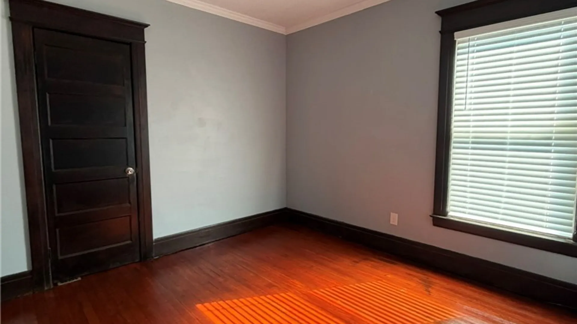 Property at 123 E Lafayette Avenue, Syracuse, NY 13205 11