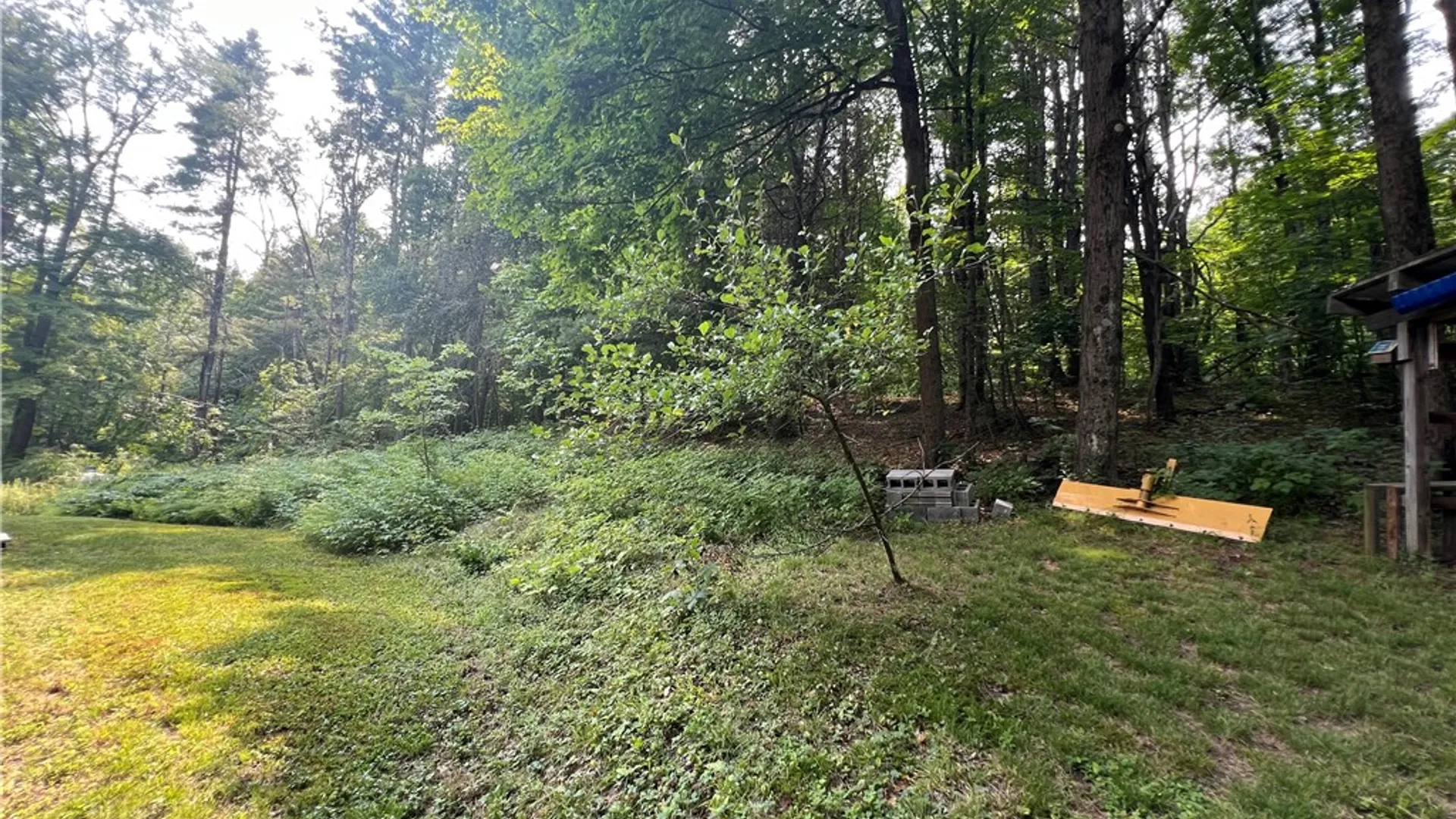 Property at 215 Opperman Road, Butternuts, NY 13843 34