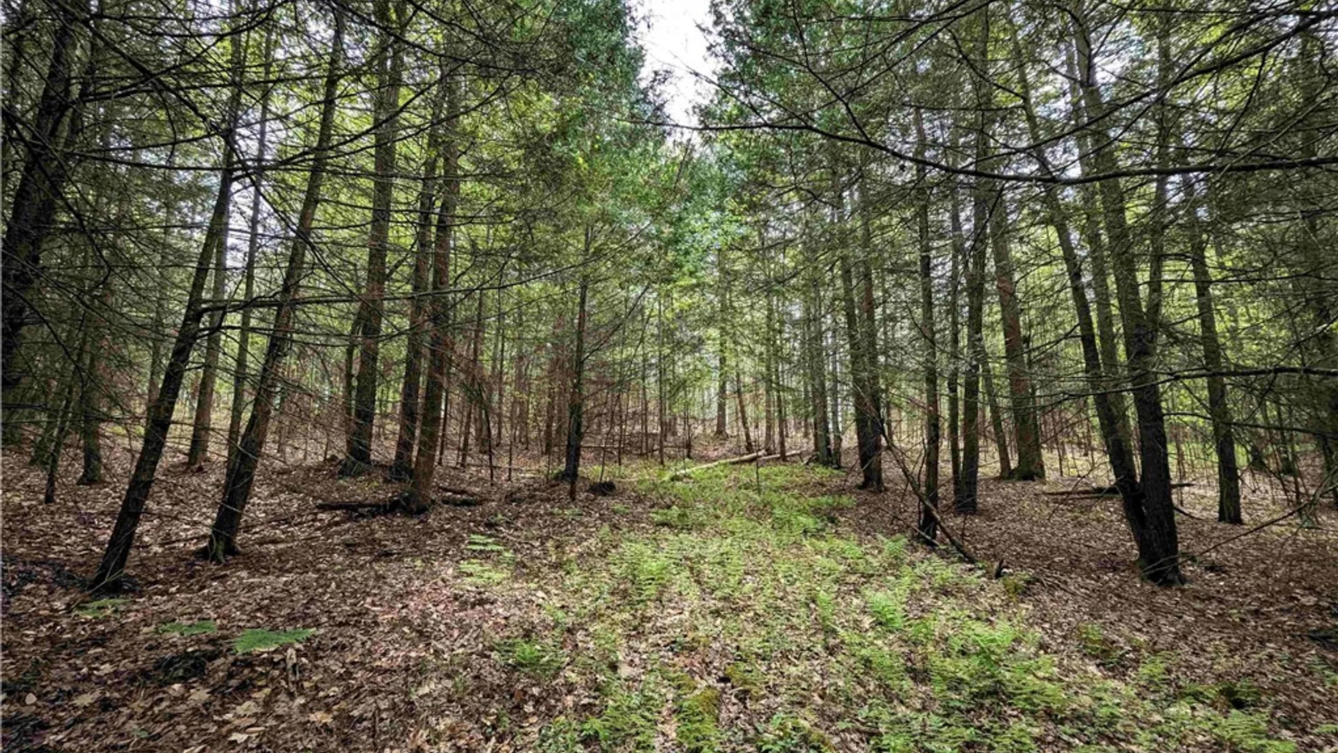 Property at Stewart Road, Tuscarora, NY 14801 7