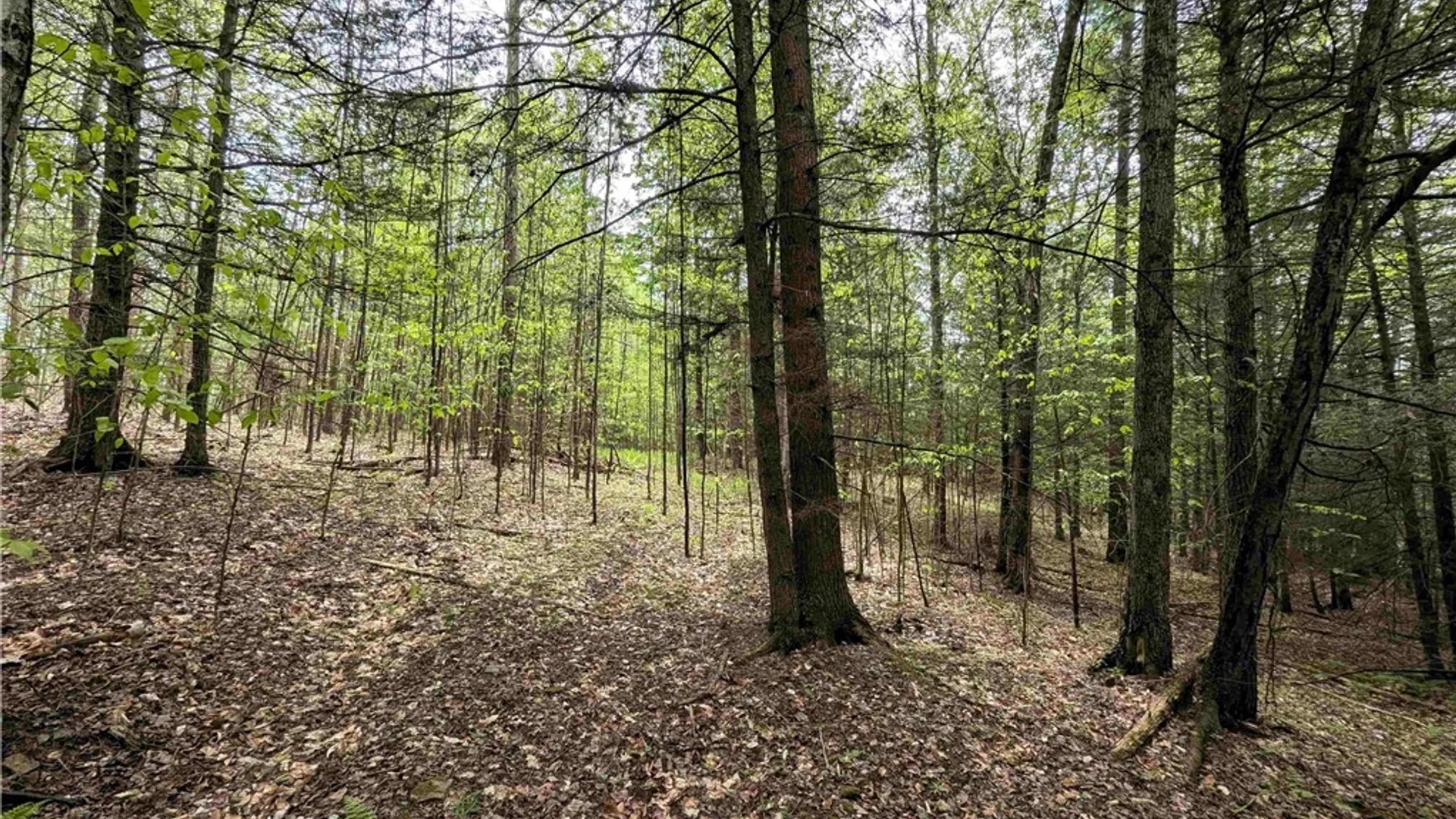 Property at Stewart Road, Tuscarora, NY 14801 8