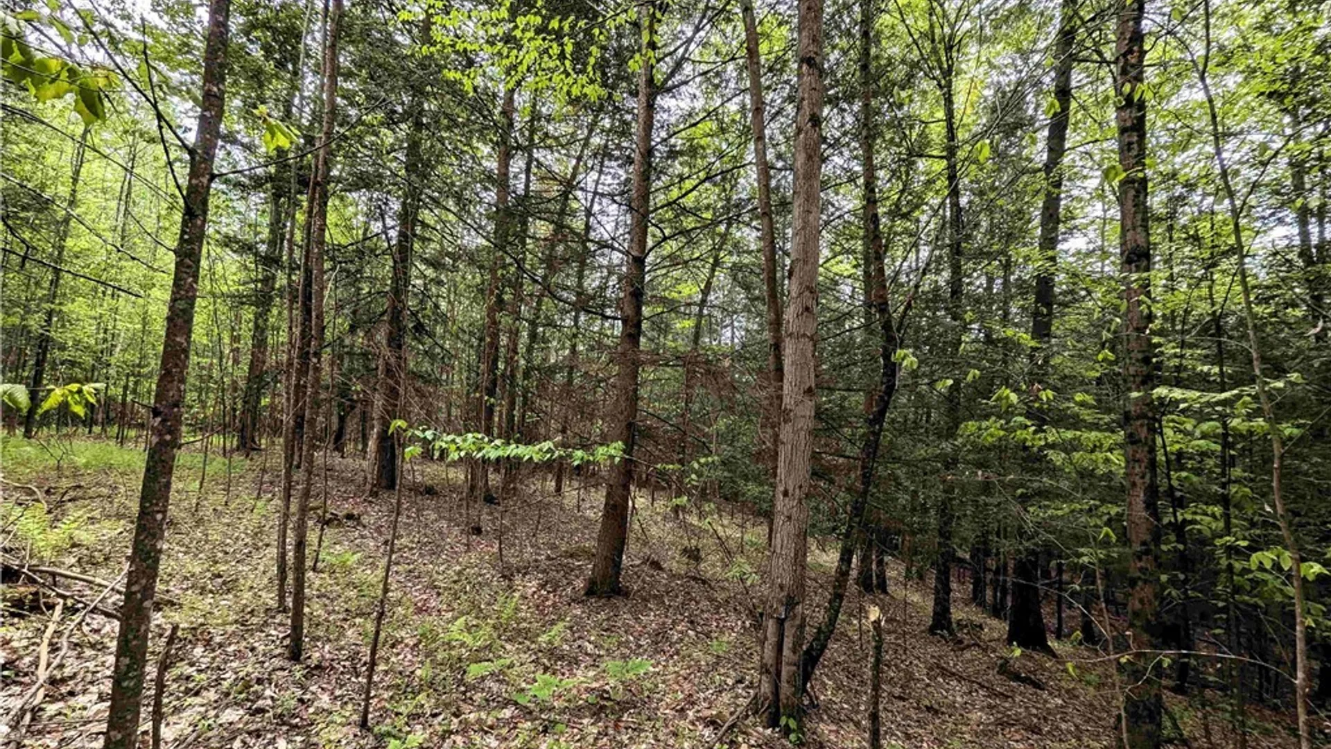 Property at Stewart Road, Tuscarora, NY 14801 9