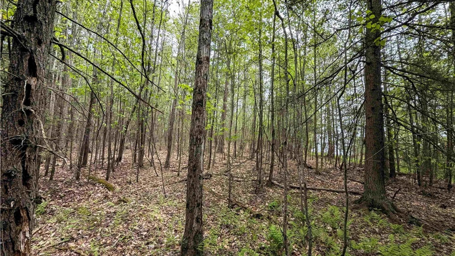 Property at Stewart Road, Tuscarora, NY 14801 10