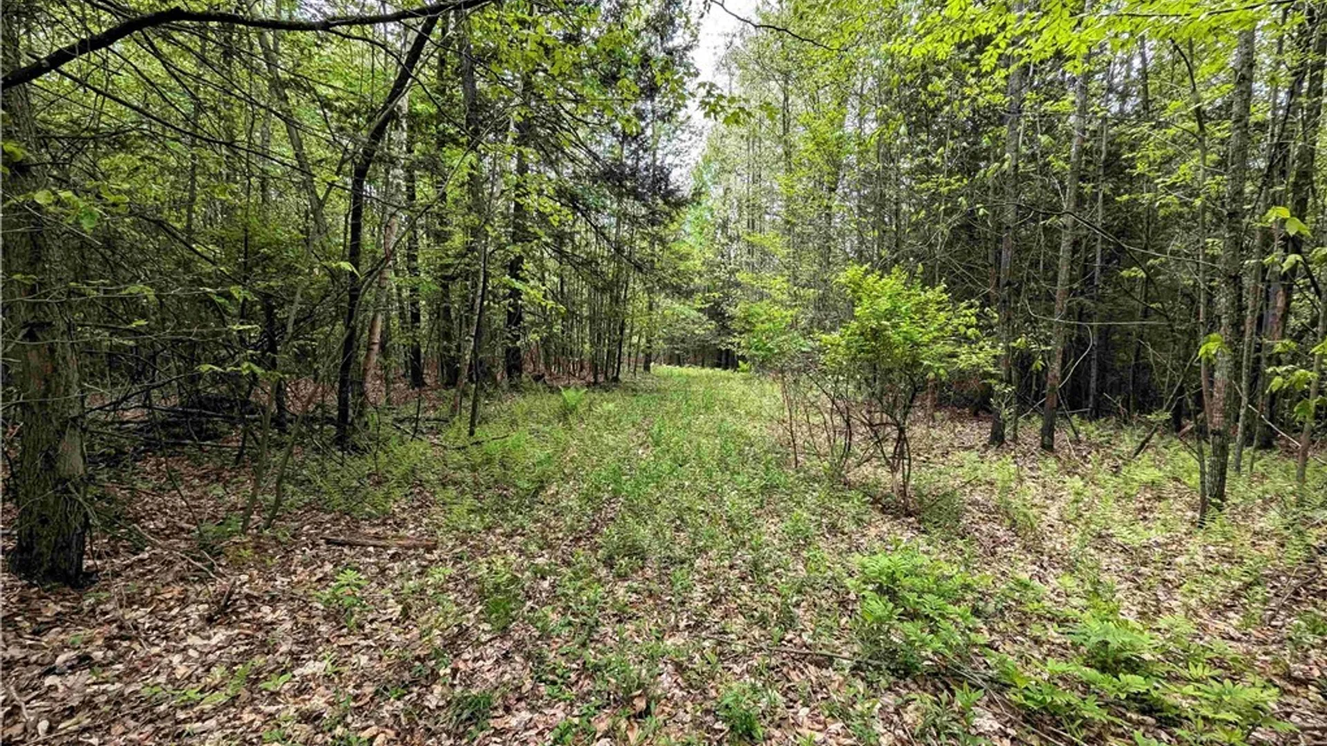 Property at Stewart Road, Tuscarora, NY 14801 11