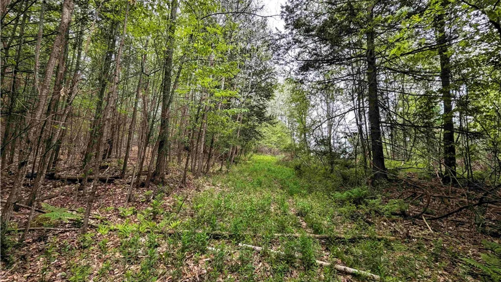 Property at Stewart Road, Tuscarora, NY 14801 12