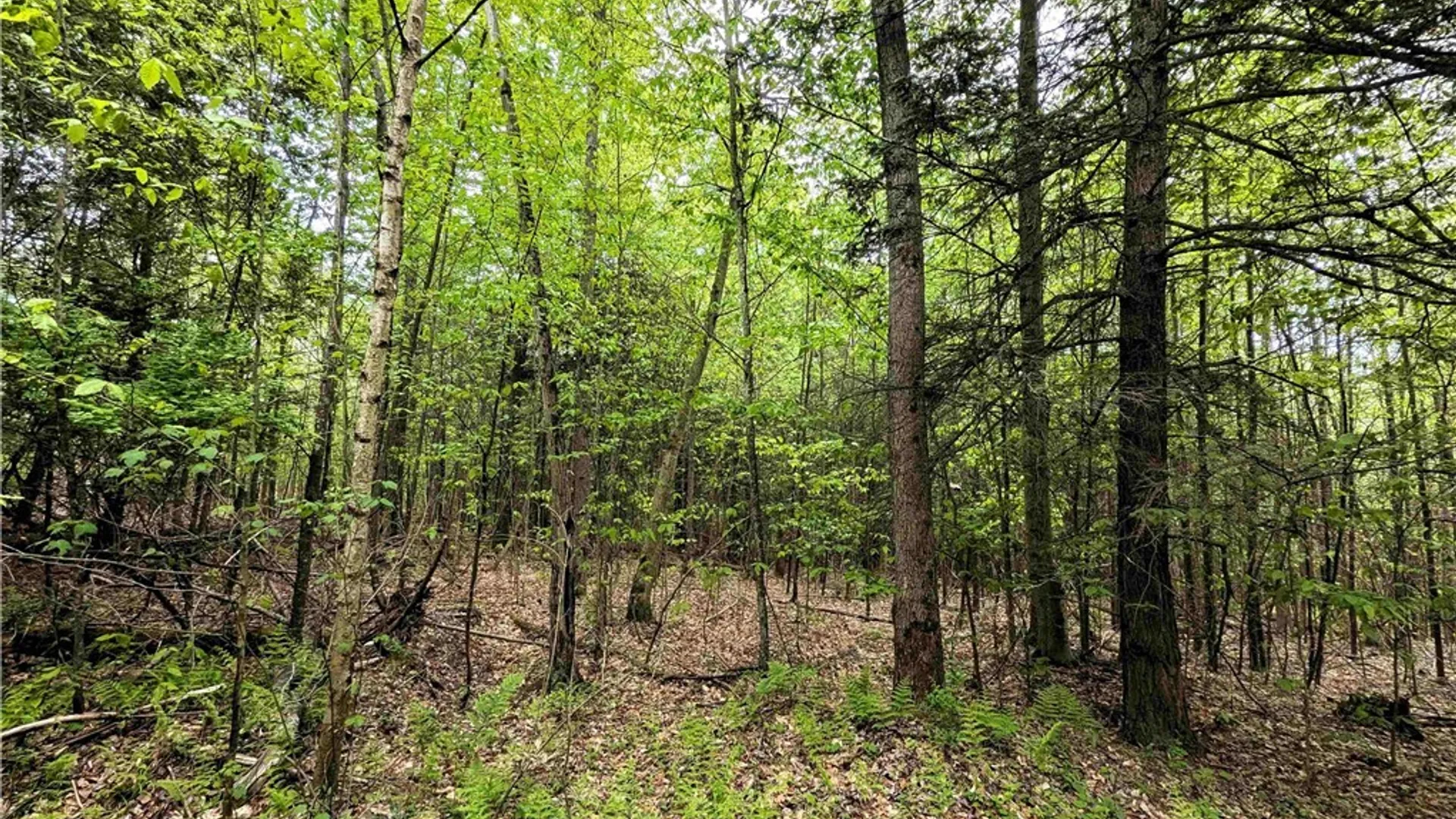 Property at Stewart Road, Tuscarora, NY 14801 13
