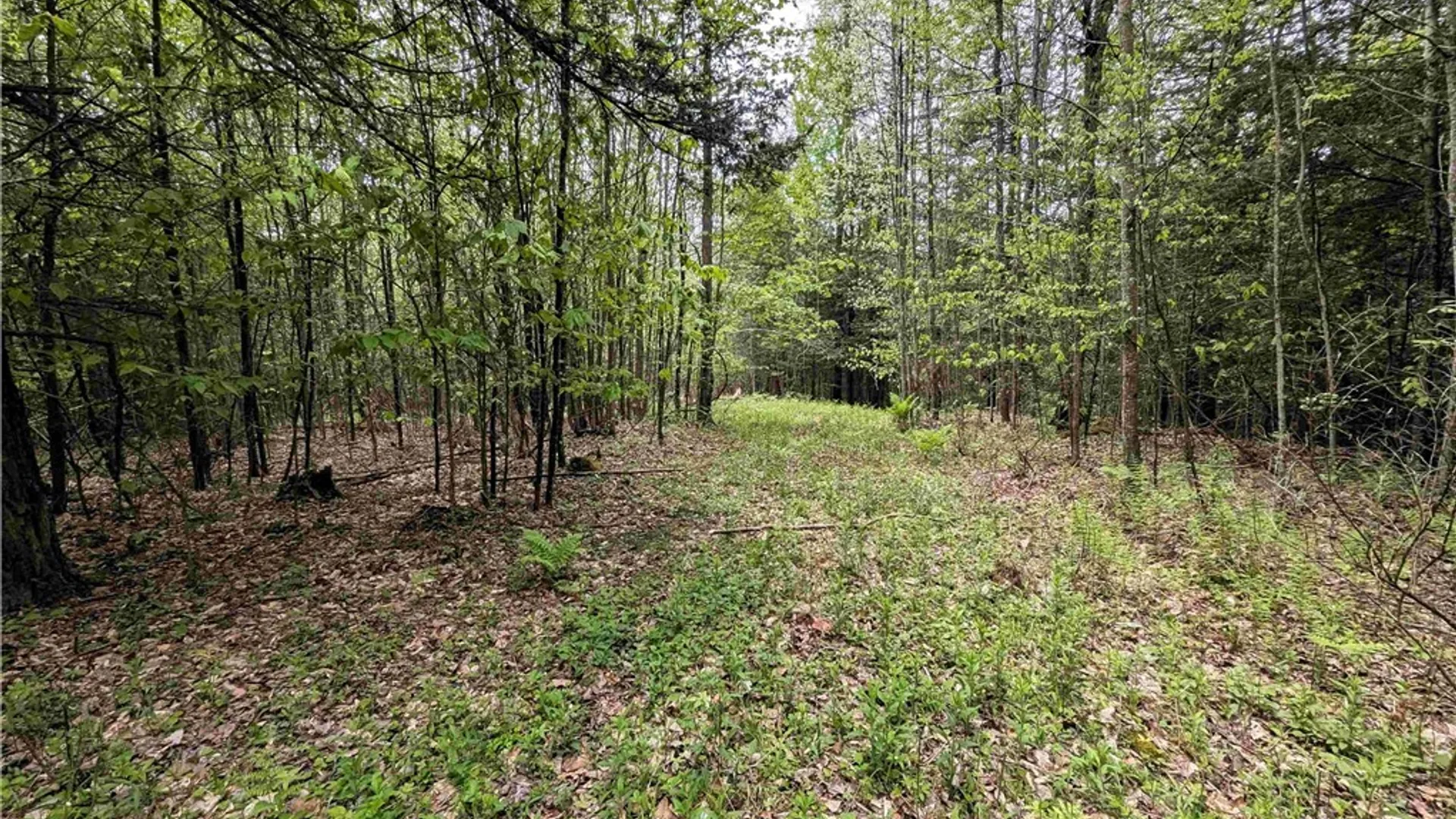 Property at Stewart Road, Tuscarora, NY 14801 14