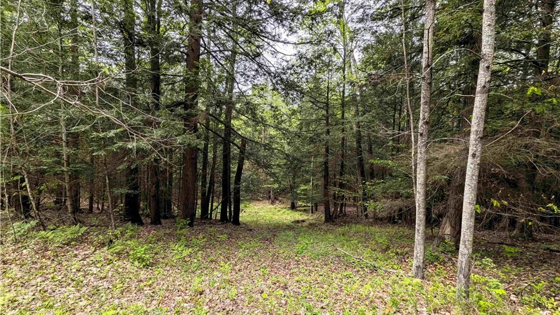 Property at Stewart Road, Tuscarora, NY 14801 15