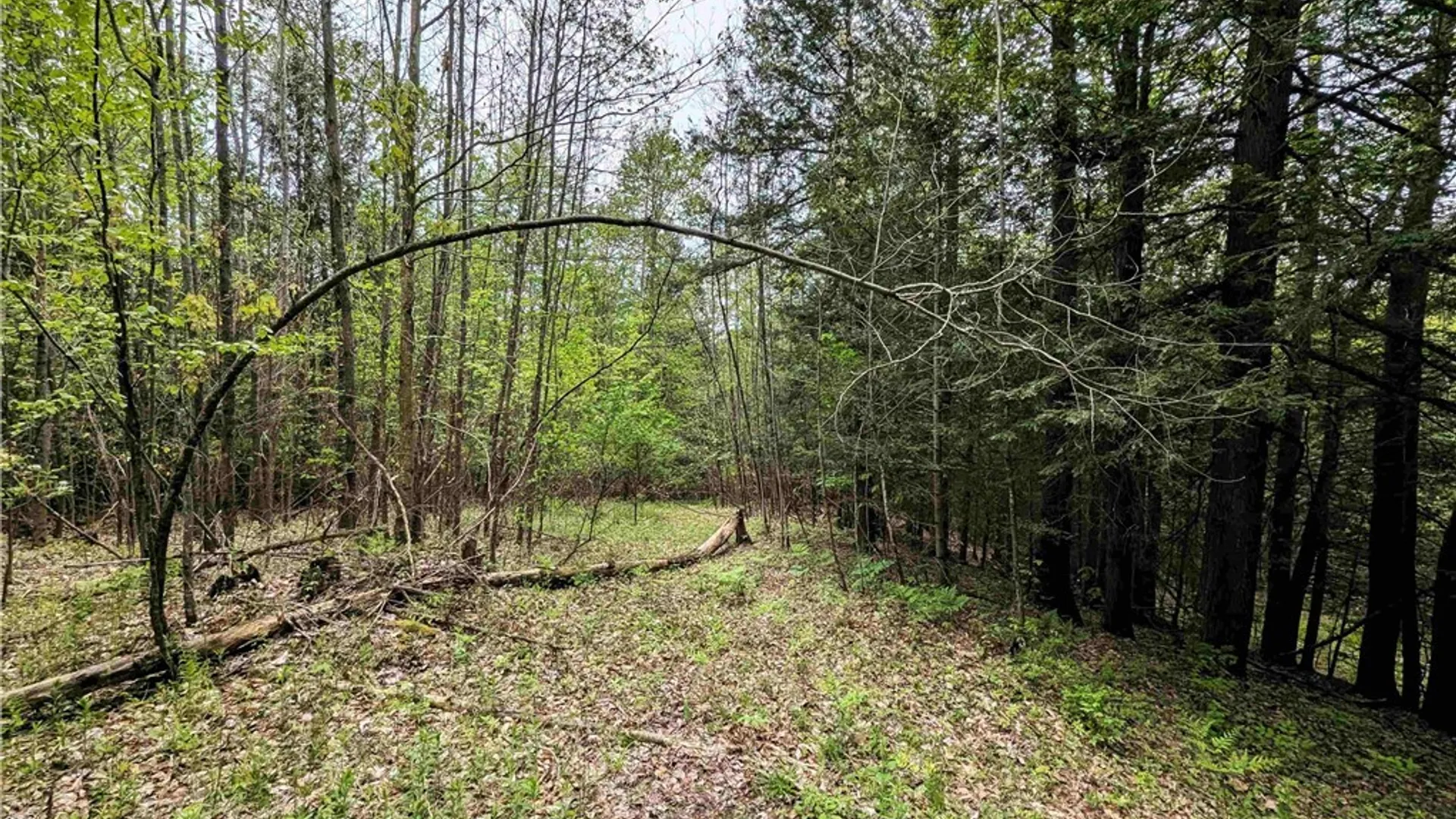 Property at Stewart Road, Tuscarora, NY 14801 16