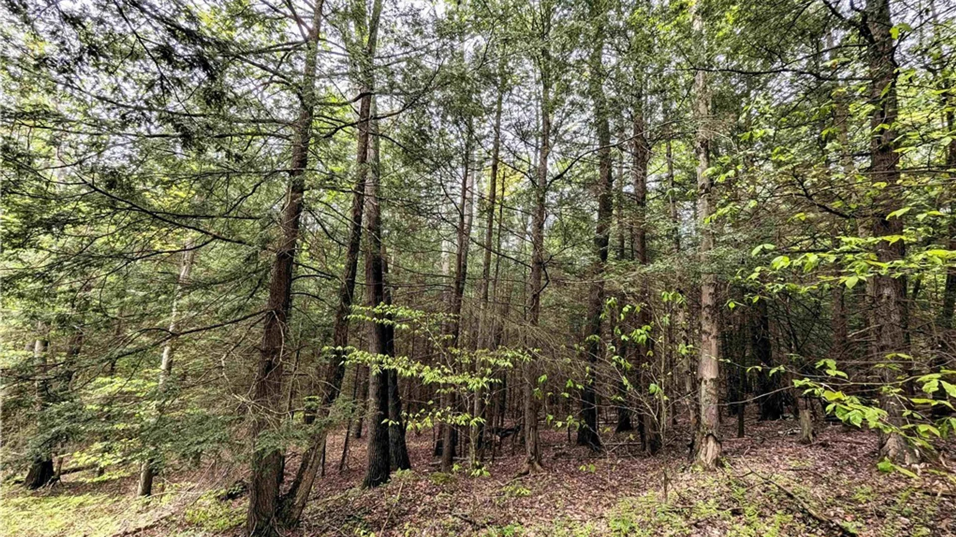 Property at Stewart Road, Tuscarora, NY 14801 17