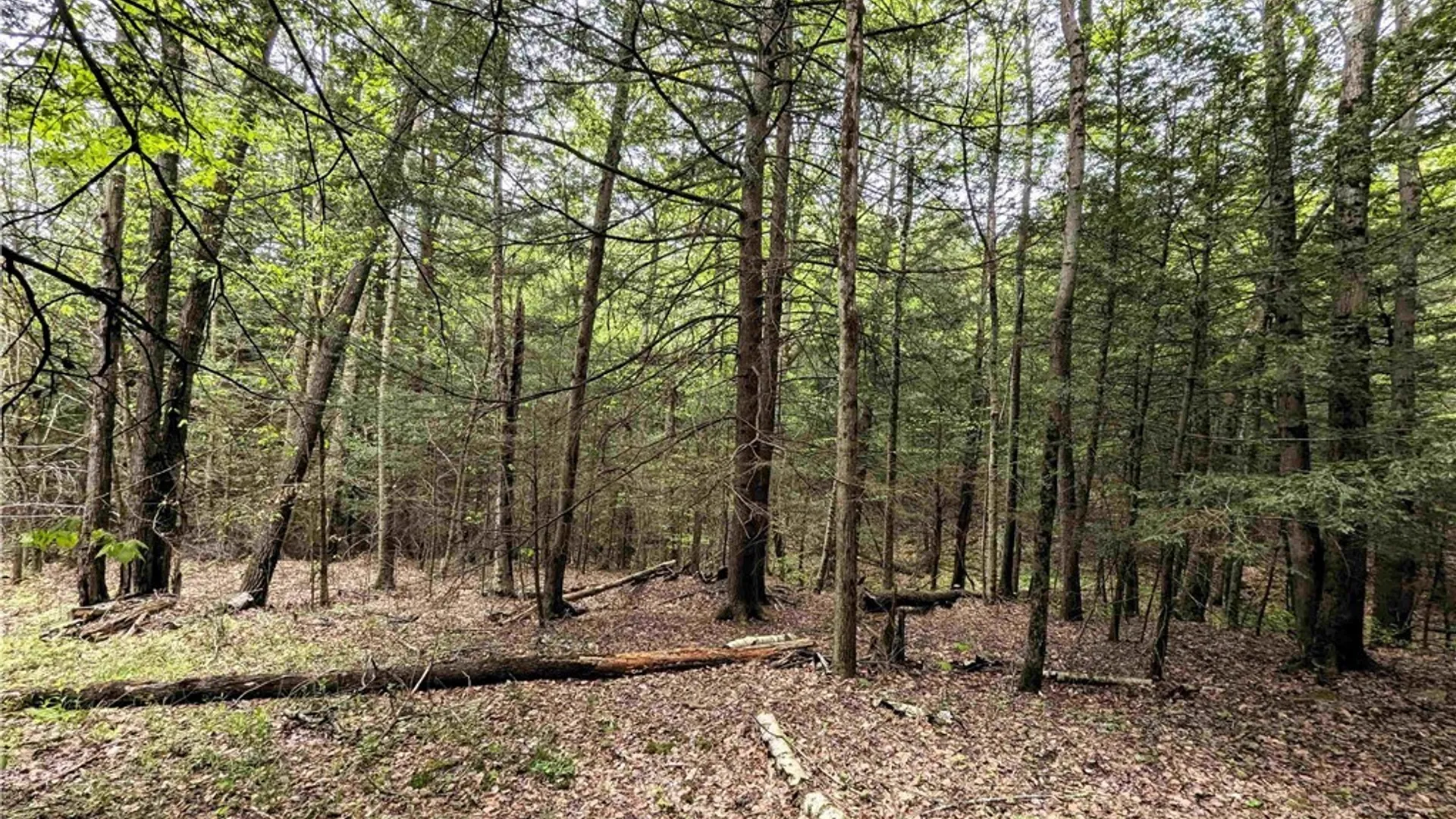 Property at Stewart Road, Tuscarora, NY 14801 18