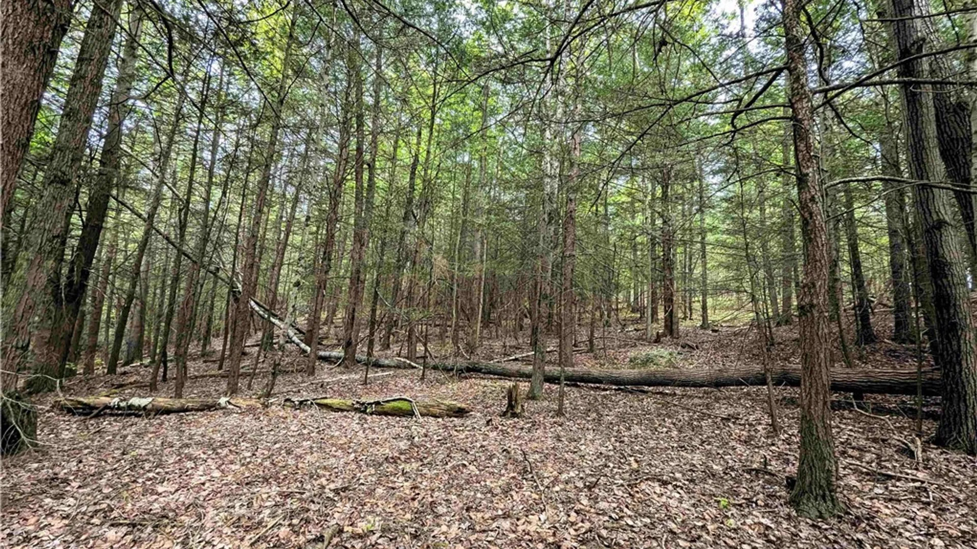 Property at Stewart Road, Tuscarora, NY 14801 19