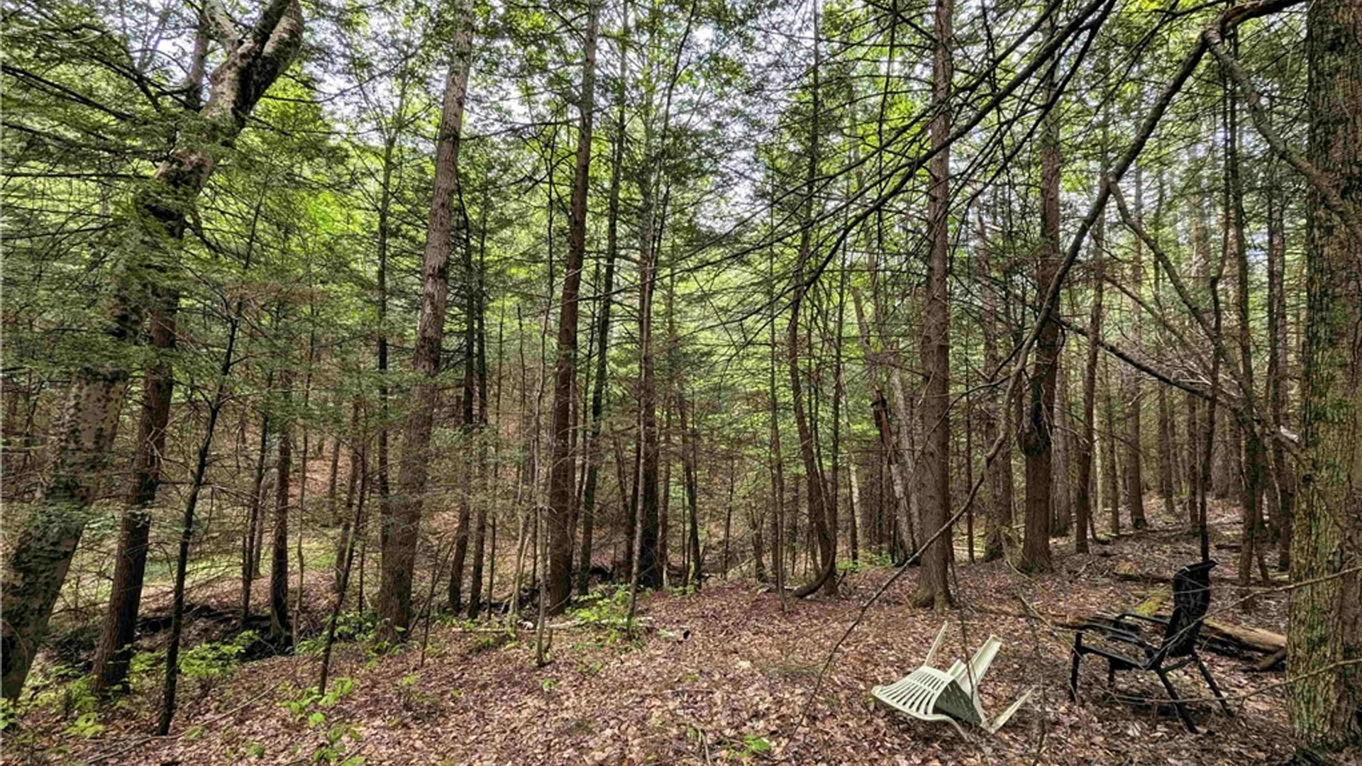 Property at Stewart Road, Tuscarora, NY 14801 20