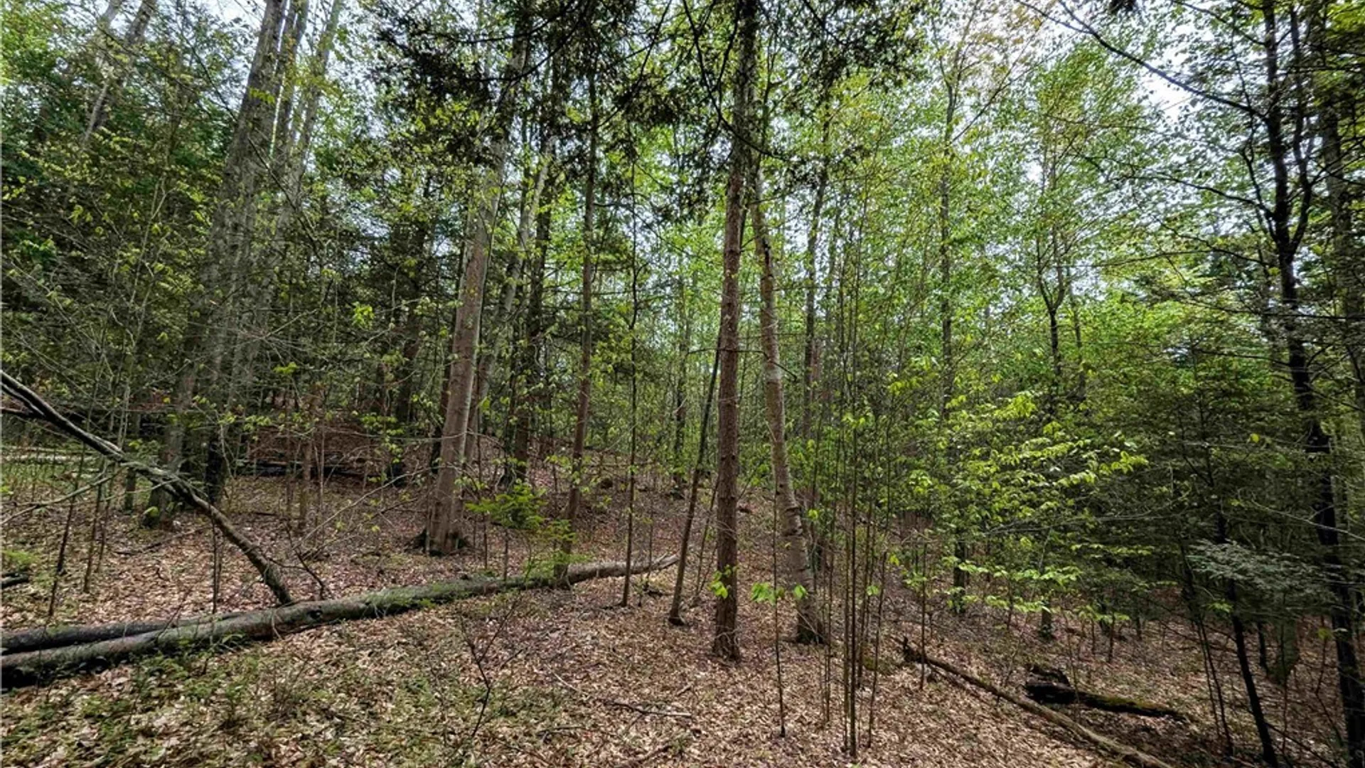 Property at Stewart Road, Tuscarora, NY 14801 21