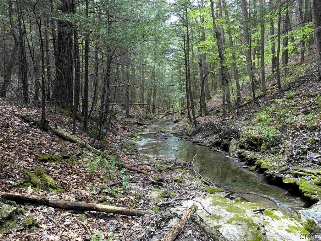 Property at Stewart Road, Tuscarora, NY 14801