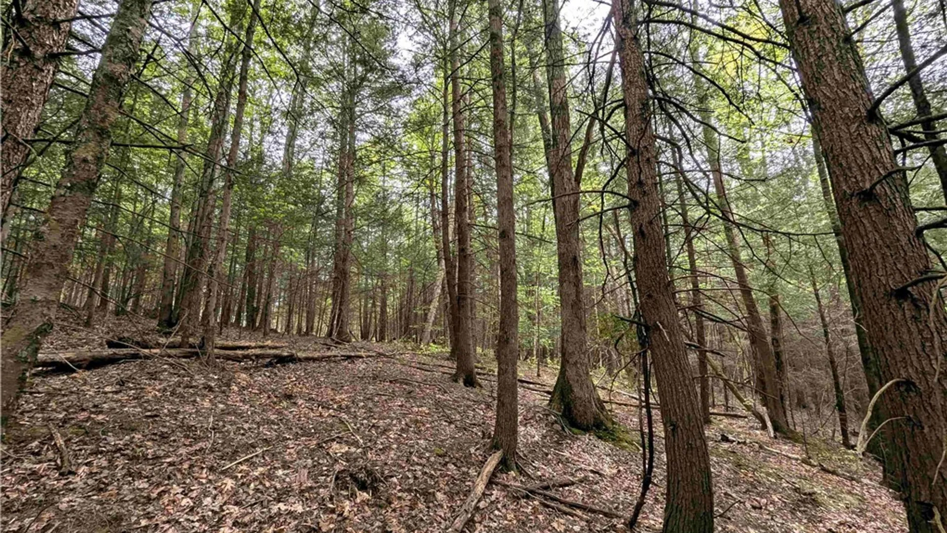 Property at Stewart Road, Tuscarora, NY 14801 4