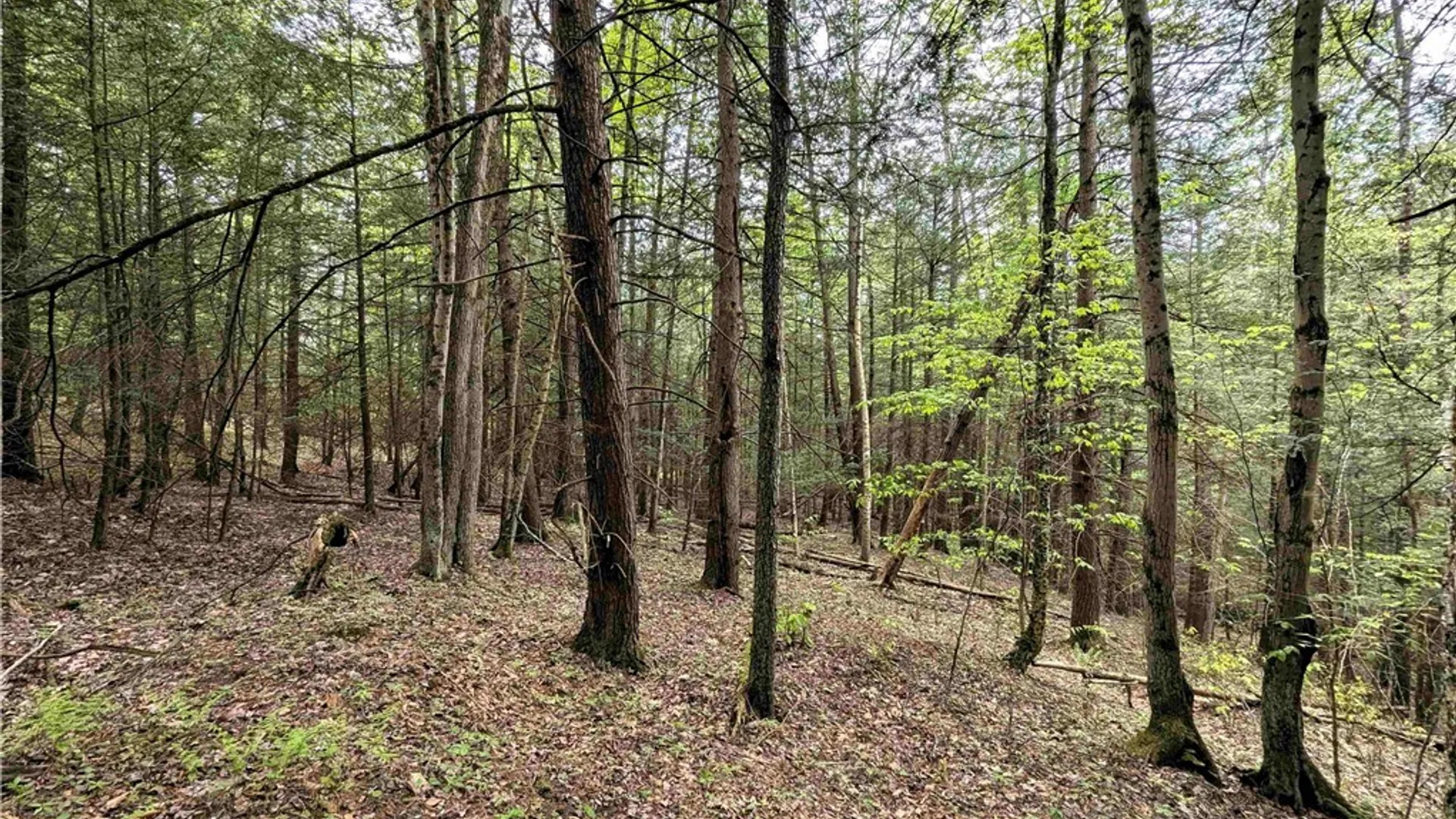 Property at Stewart Road, Tuscarora, NY 14801 6
