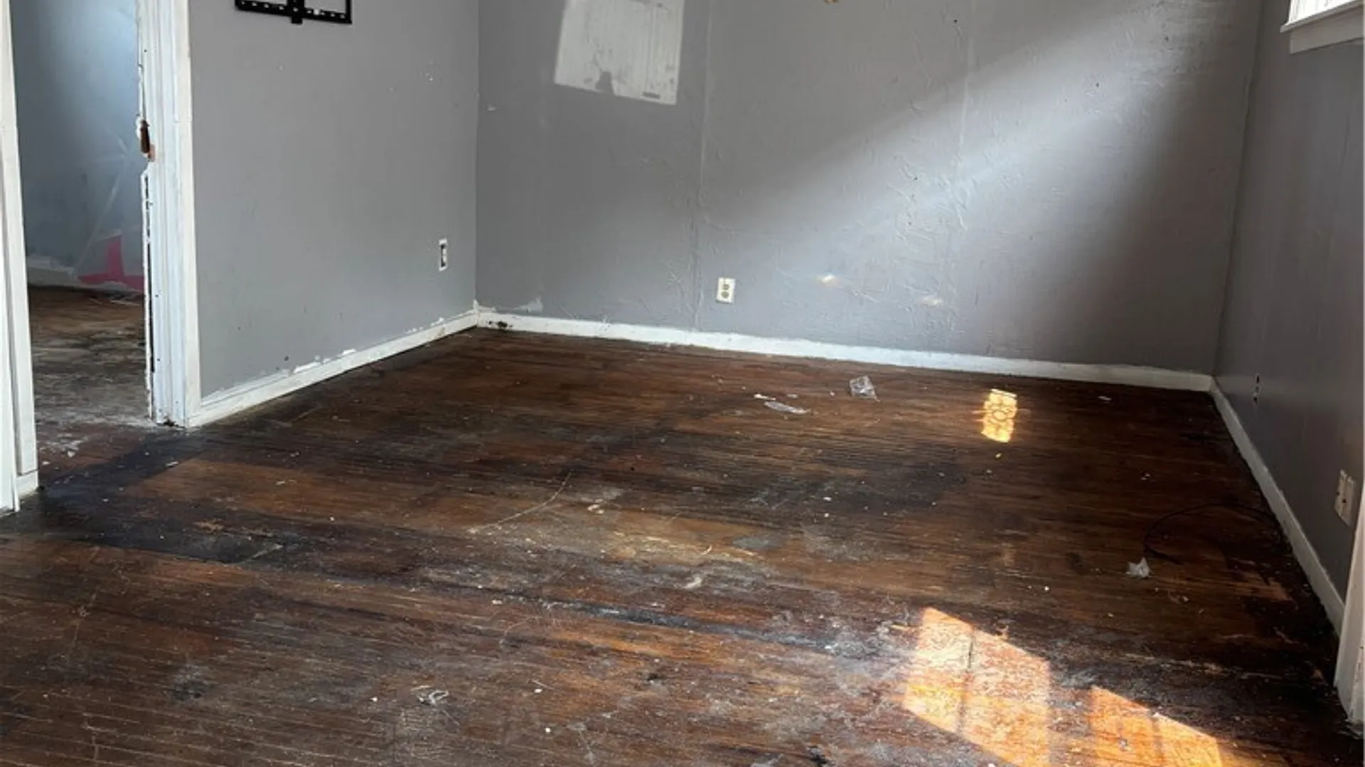 Property at 2191 S Park Avenue, Buffalo, NY 14220 13