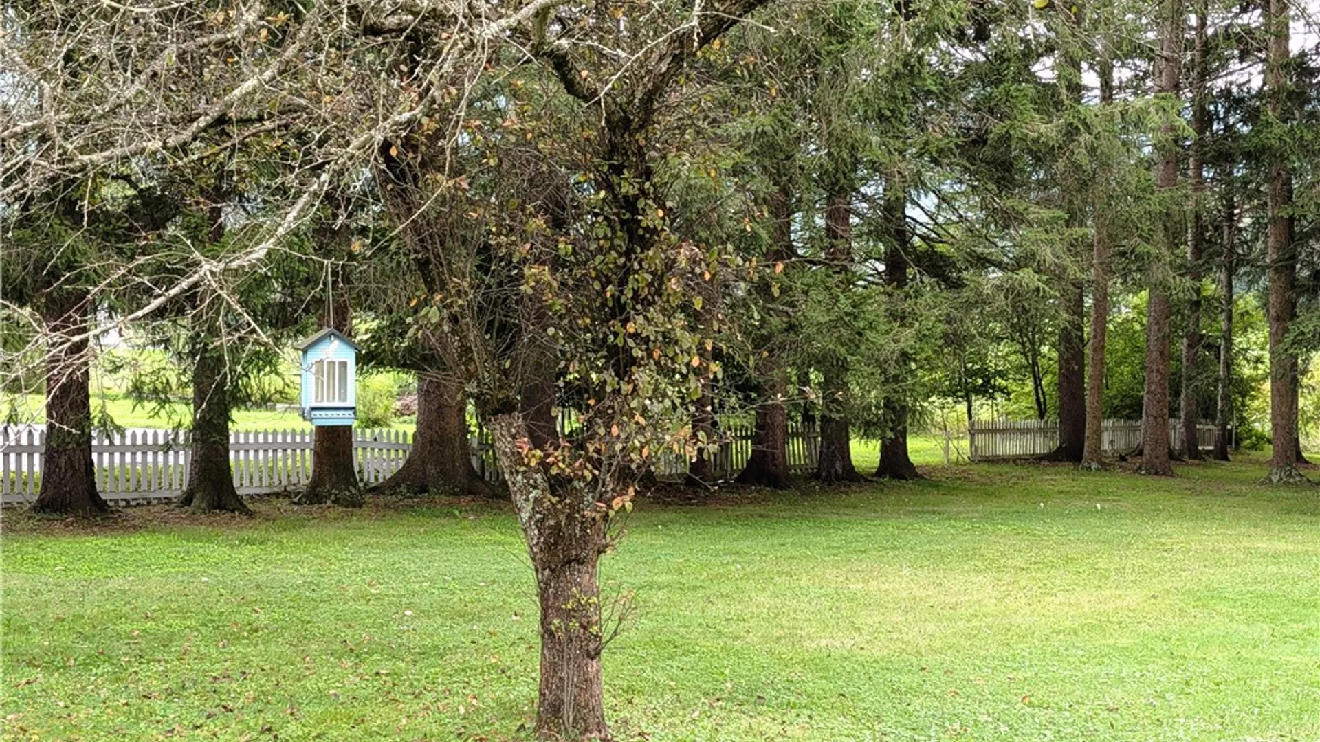 Property at 13162 Route 59, Keating Town, PA 16749 11