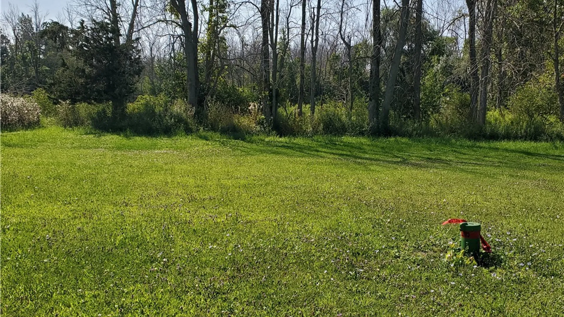 Property at Sawyers Bay Rd Road, Henderson, NY 13650 4
