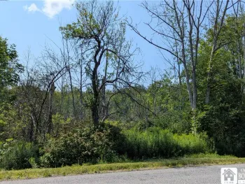 Property at Beech Tree Road, Ashford, NY 14171