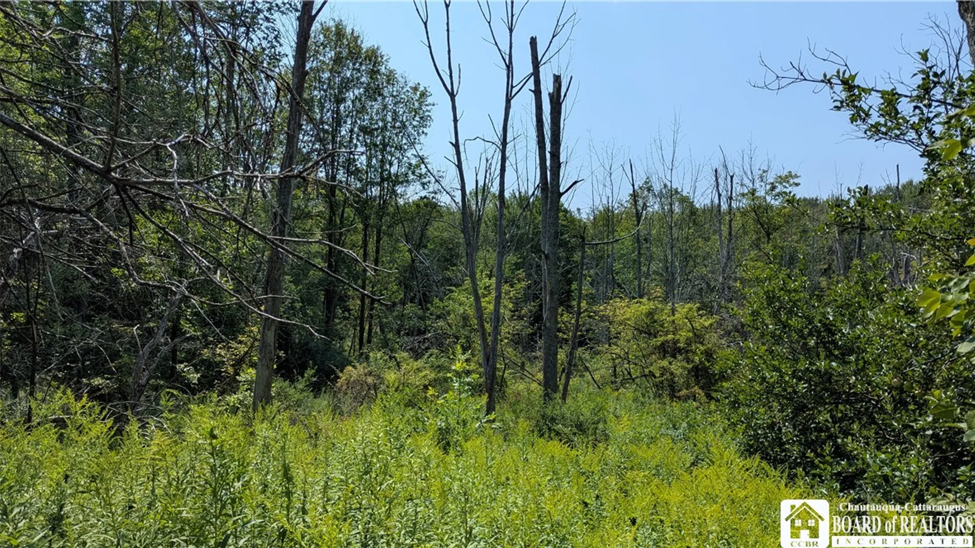 Property at Beech Tree Road, Ashford, NY 14171 3
