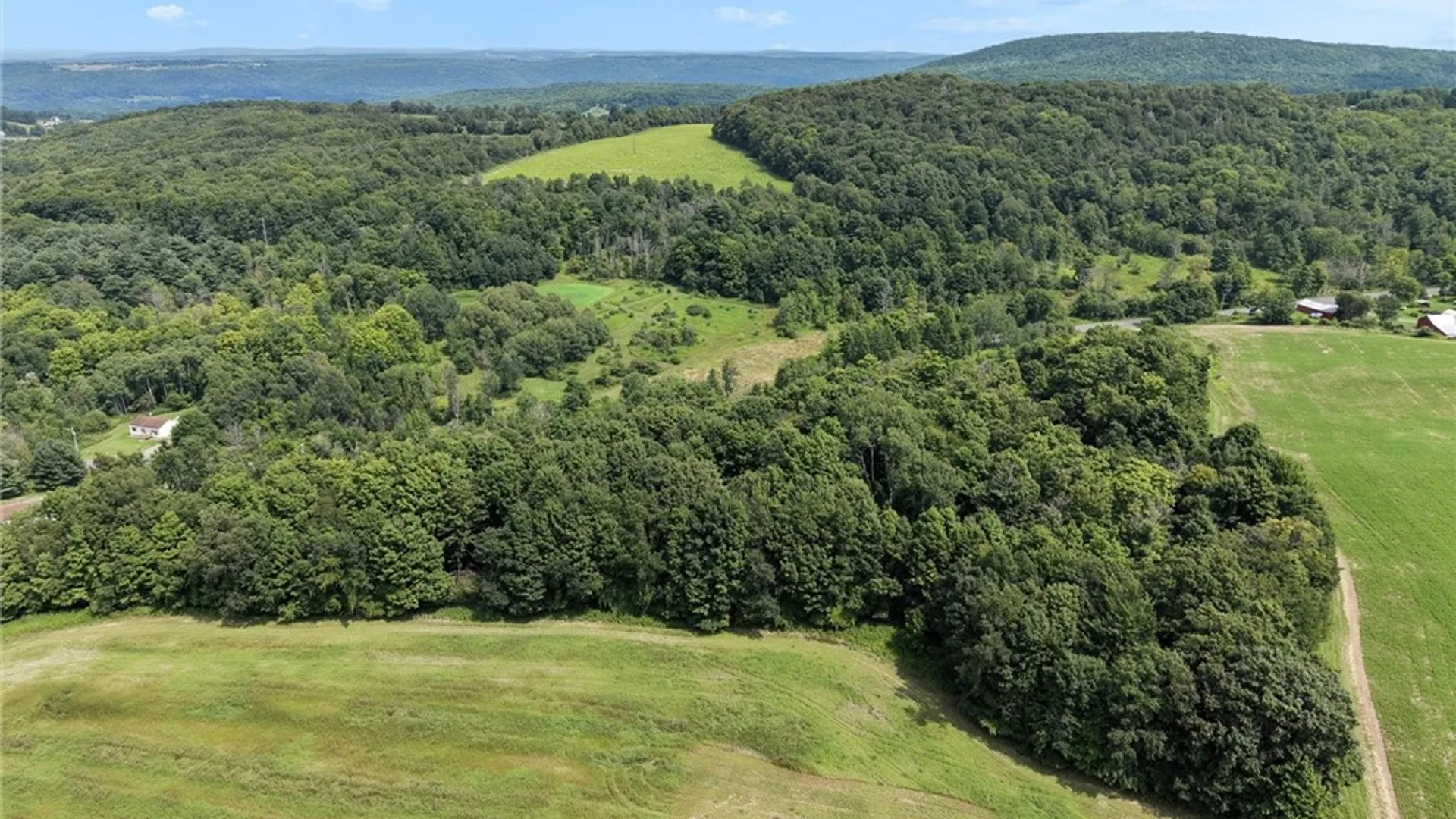 Property at 228 Taggart Road, Newfield, NY 14867 47