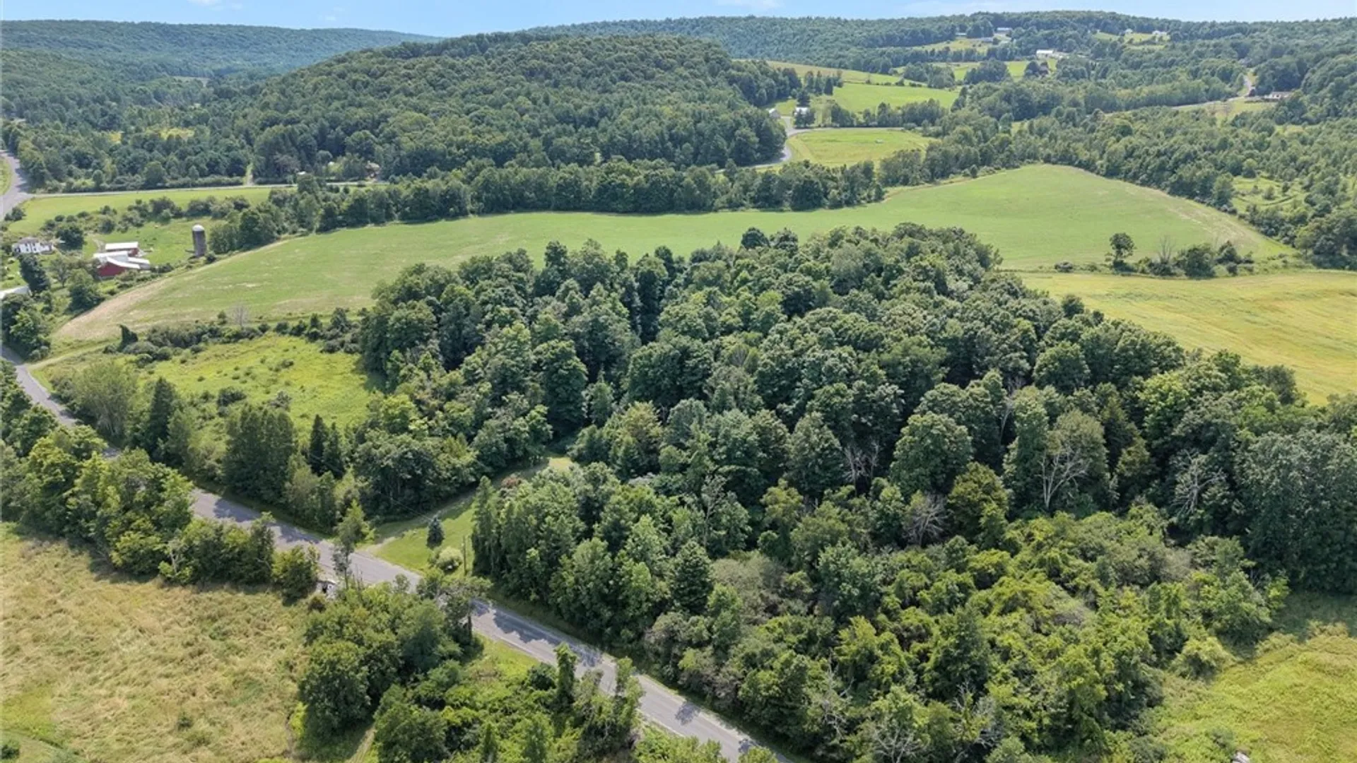 Property at 228 Taggart Road, Newfield, NY 14867 48