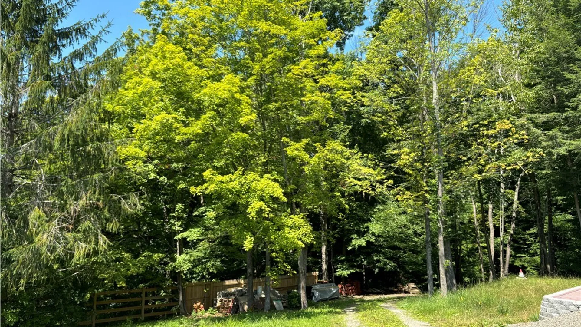 Property at 3829 Piety Ridge Road, Marathon, NY 13803 17