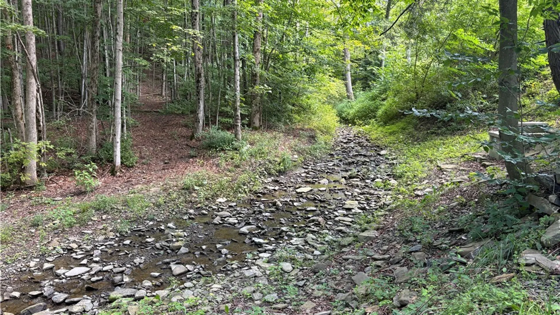 Property at 3829 Piety Ridge Road, Marathon, NY 13803 20