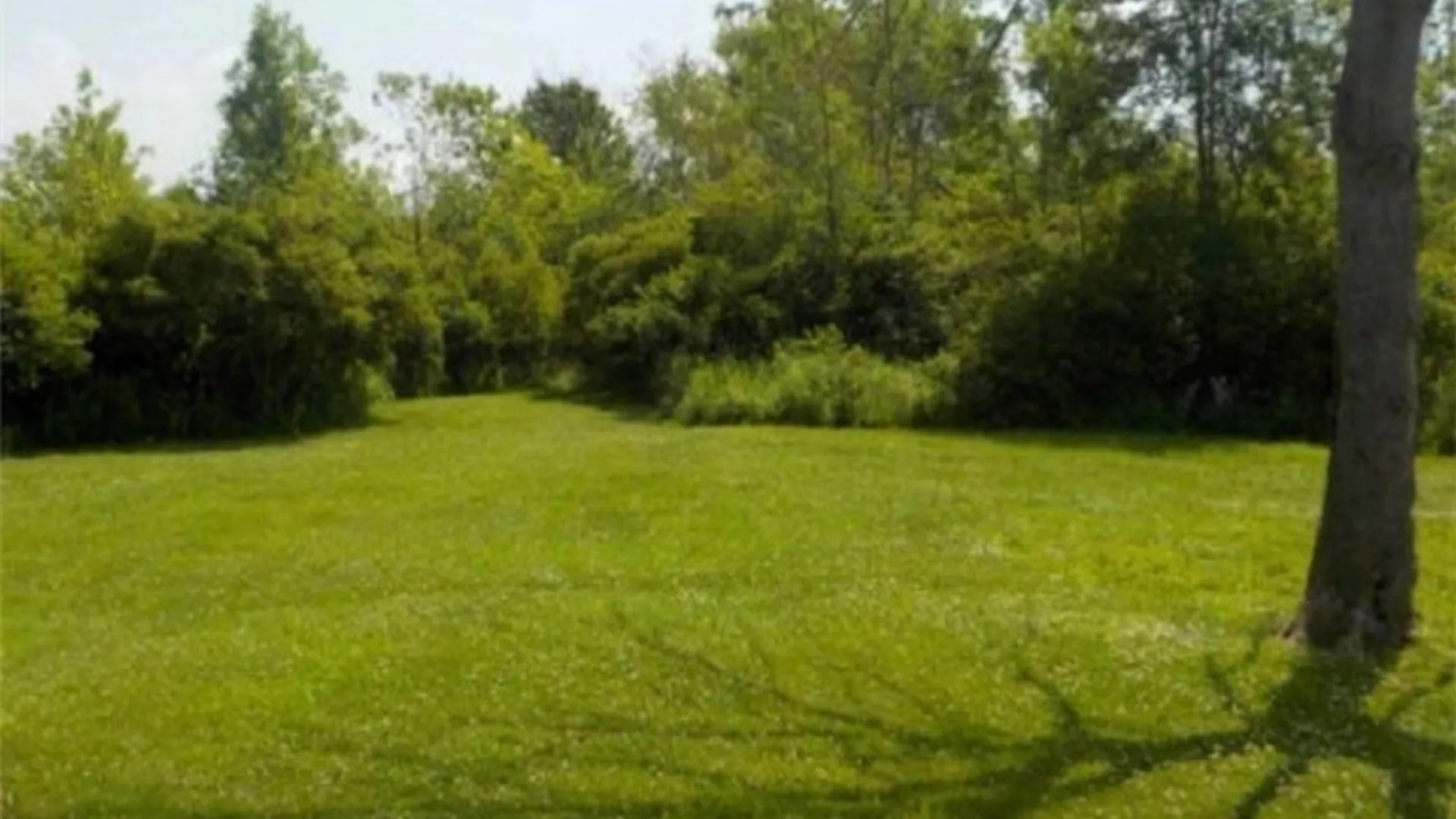 Property at 10953 Railroad Avenue, Brant, NY 14081 8