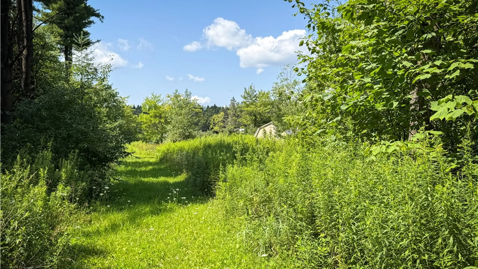 Property at 2512 Dunn Road, Italy, NY 14418 23