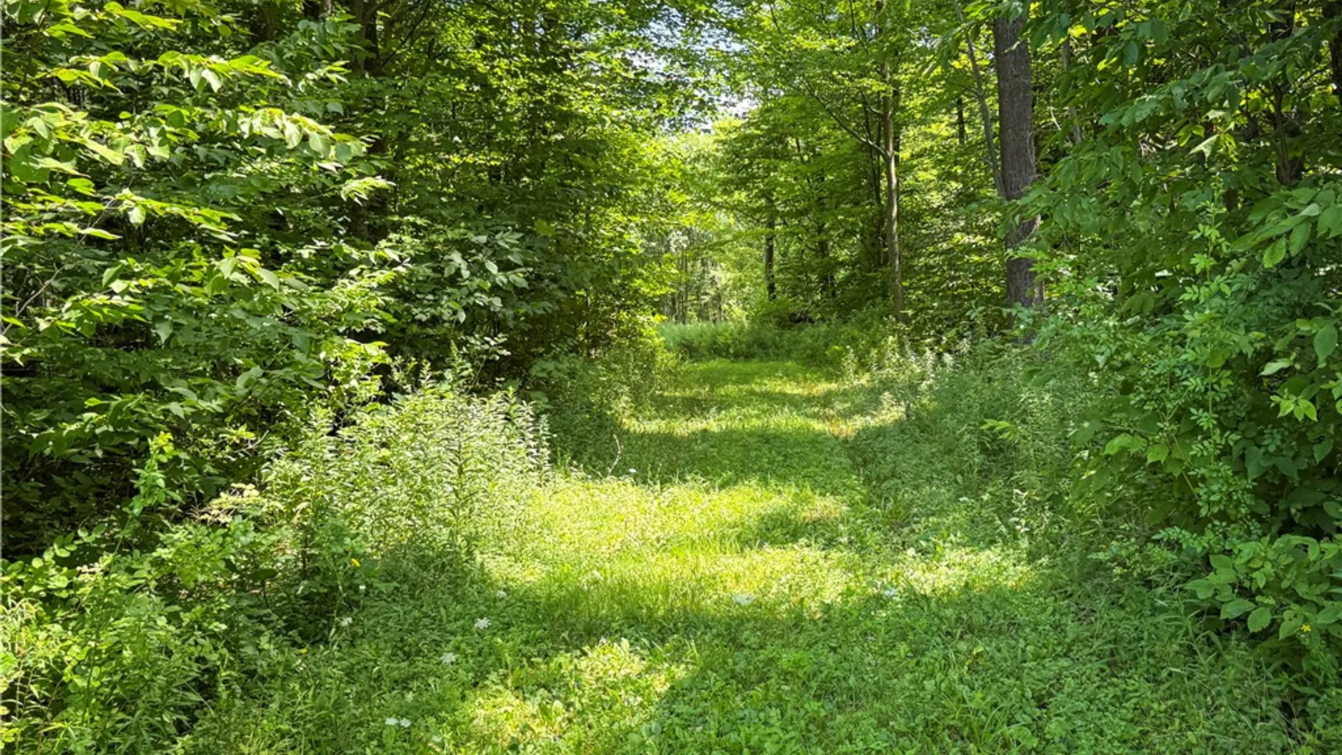 Property at 2512 Dunn Road, Italy, NY 14418 24