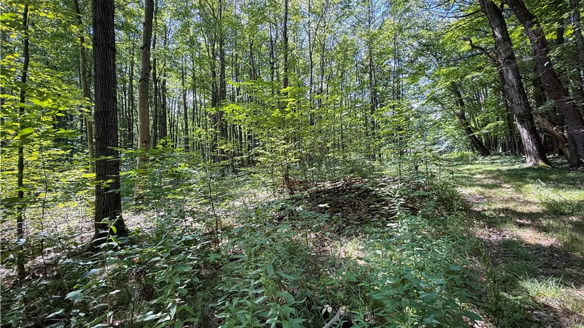 Property at 2512 Dunn Road, Italy, NY 14418 42