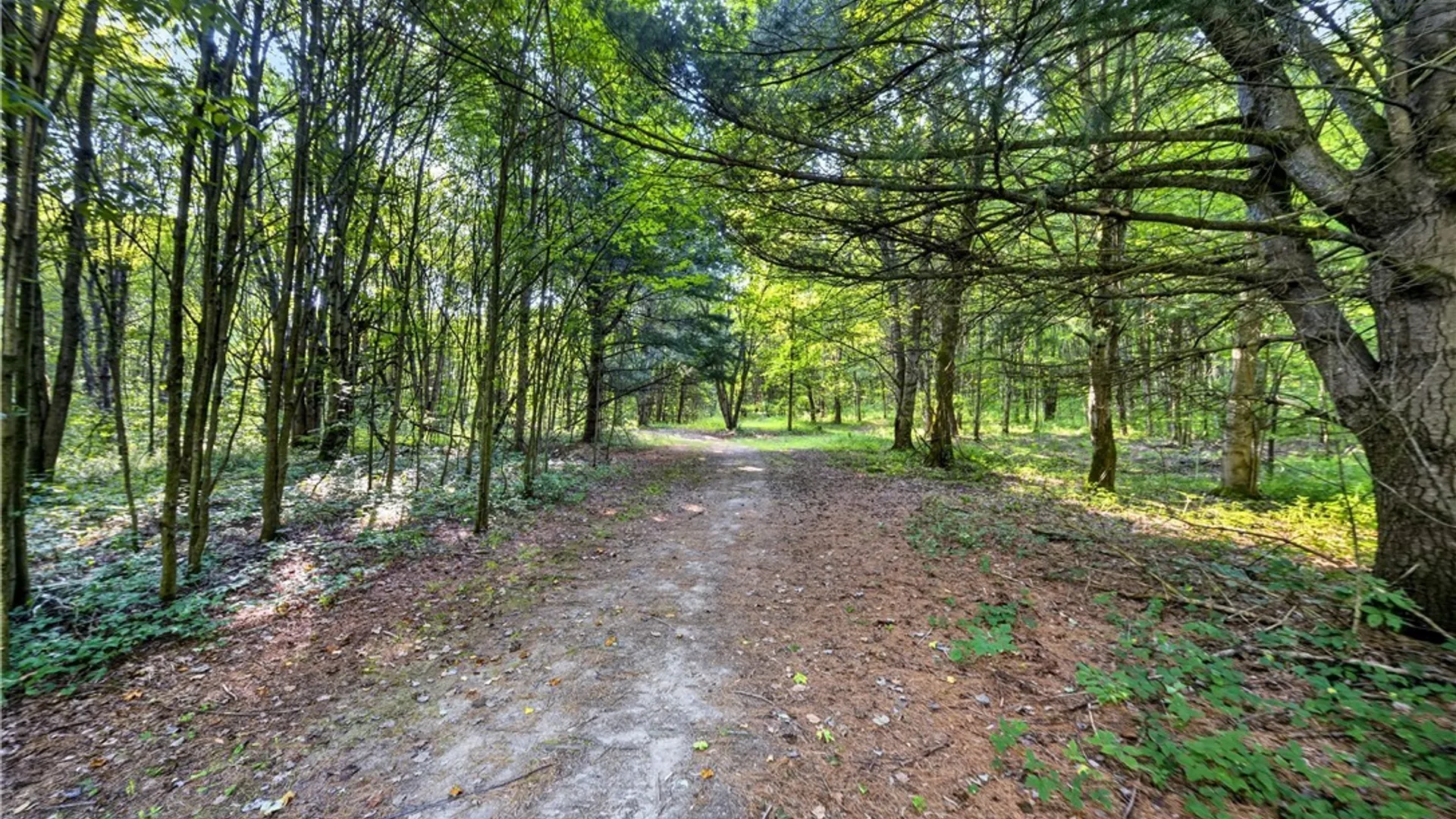 Property at 2706 US Route 11, Mexico, NY 13131 40