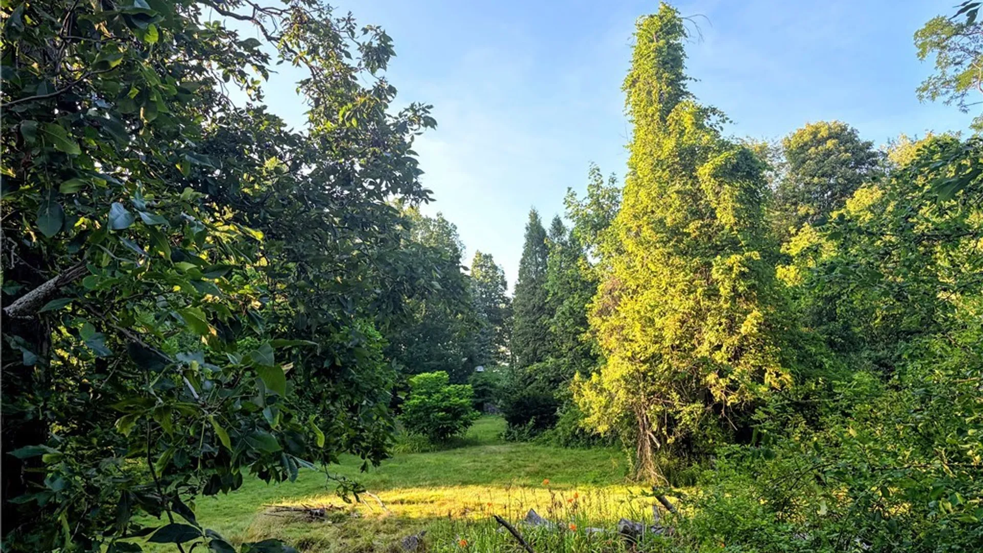 Property at VL Lake Shore Road, Evans, NY 14006 4
