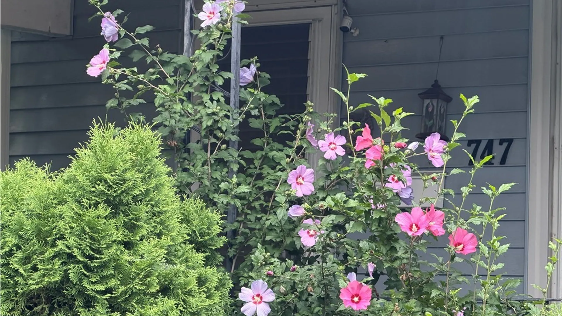 Property at 747 15th Street, Niagara Falls, NY 14301 39