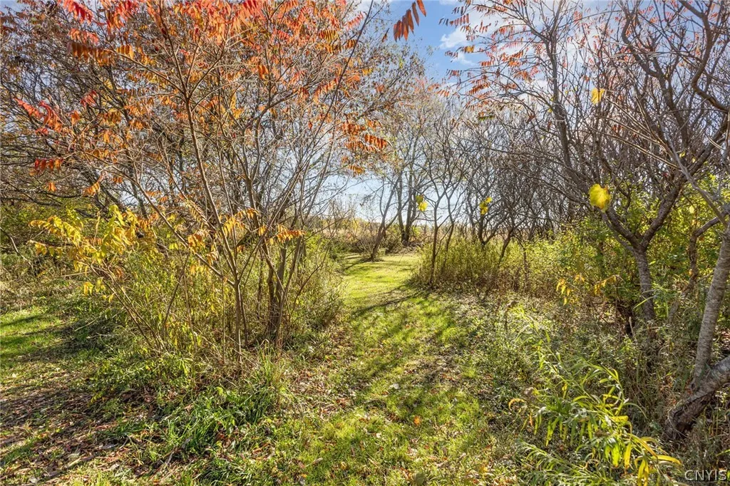 Property at 2680 Bear Swamp Road, Fenner, NY 13037