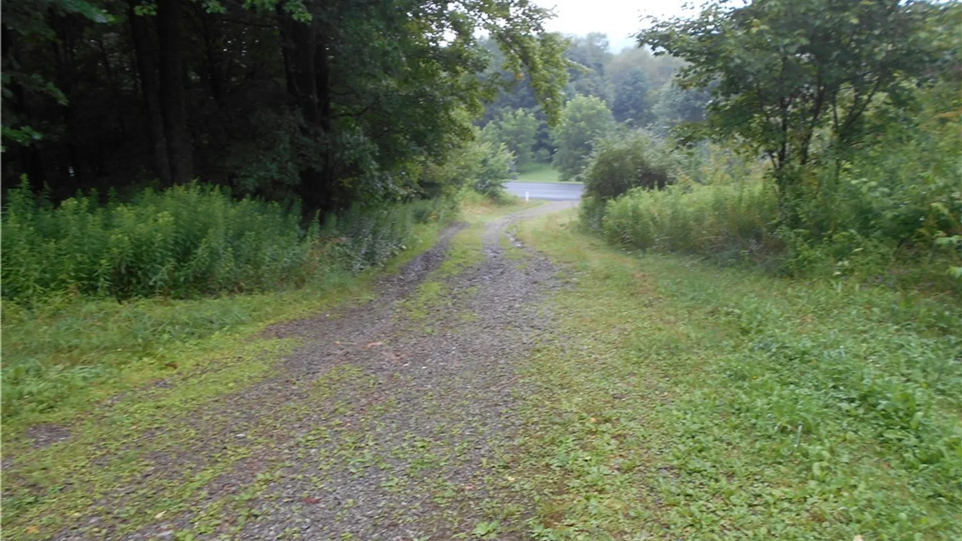 Property at 3645 Route 242, Machias, NY 14101 3
