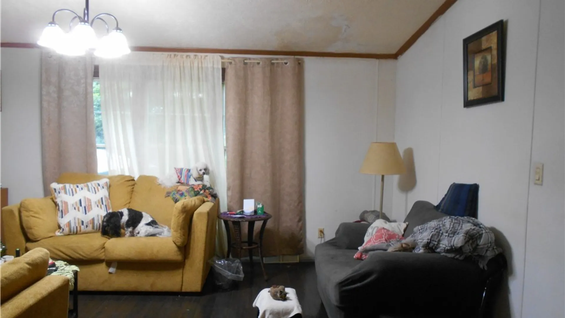 Property at 3645 Route 242, Machias, NY 14101 38
