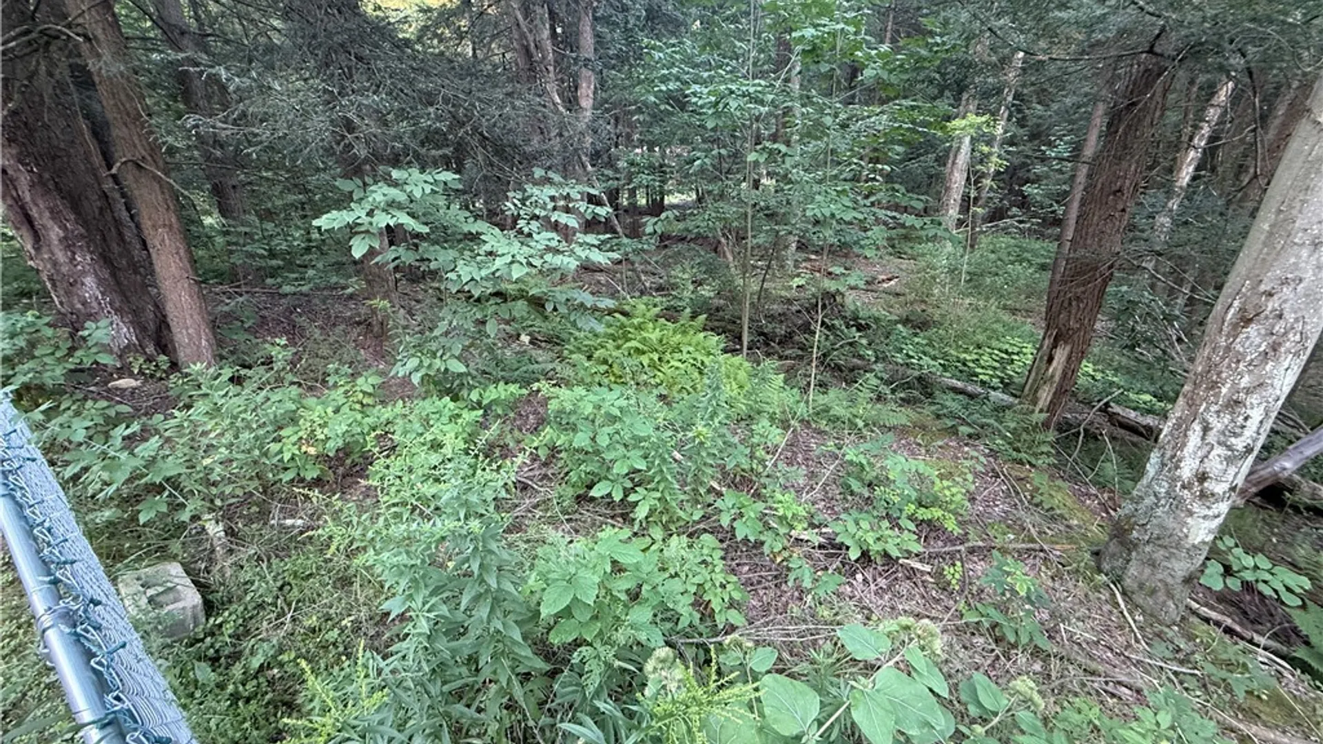 Property at 11401 Partridge Road, Holland, NY 14080 6