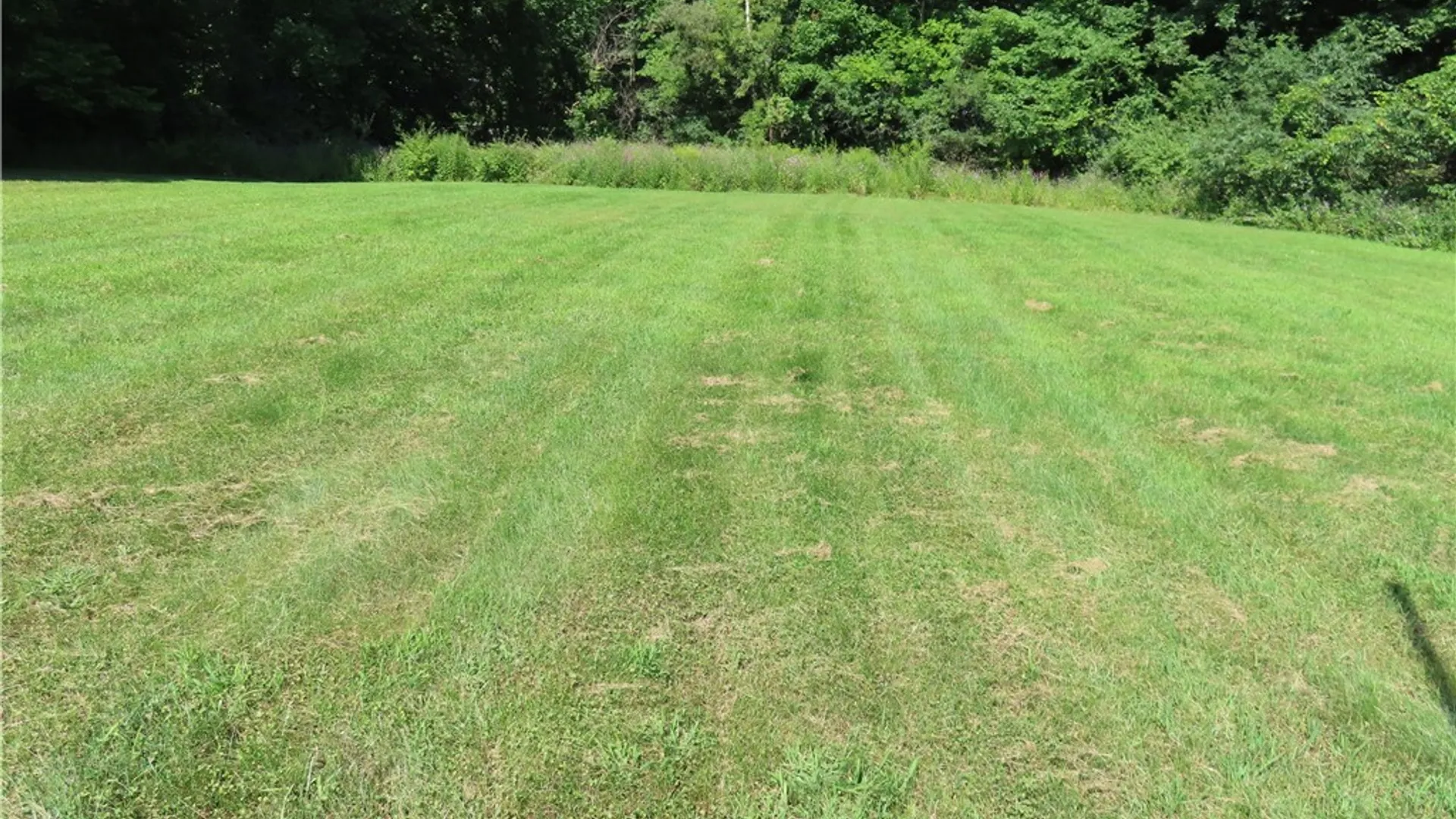 Property at 4886 Shepard Road, Marcellus, NY 13108 35