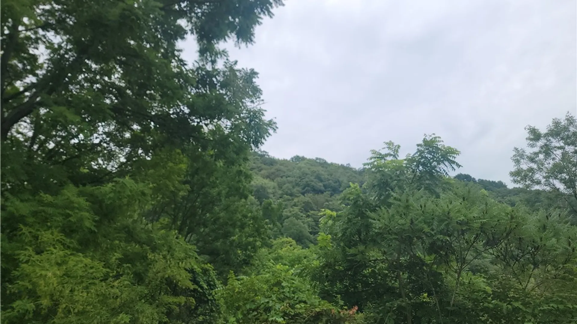 Property at 4906 Lawless Road, Marcellus, NY 13108 11