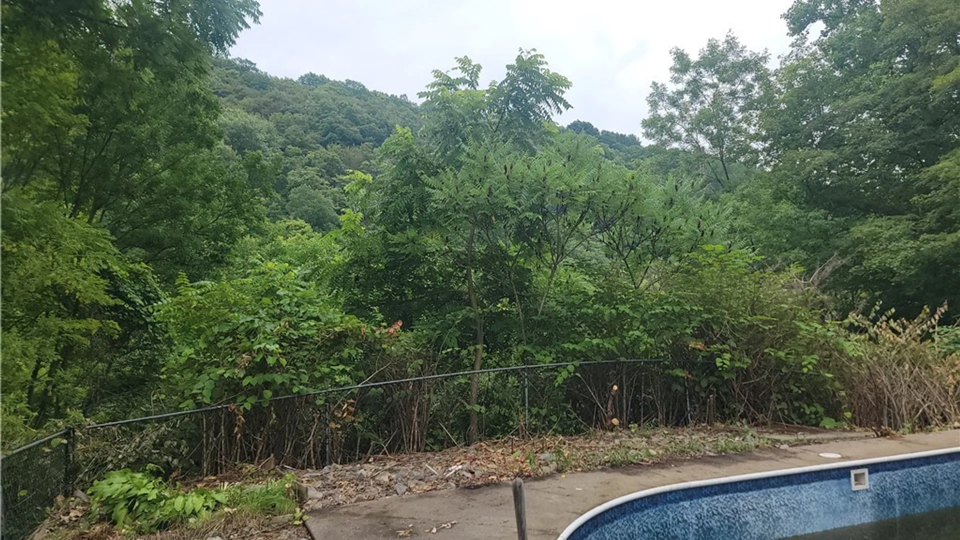Property at 4906 Lawless Road, Marcellus, NY 13108 15