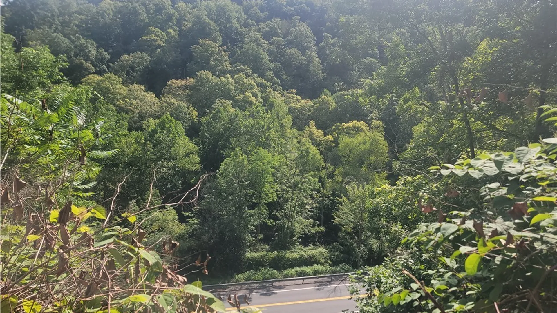 Property at 4906 Lawless Road, Marcellus, NY 13108 12