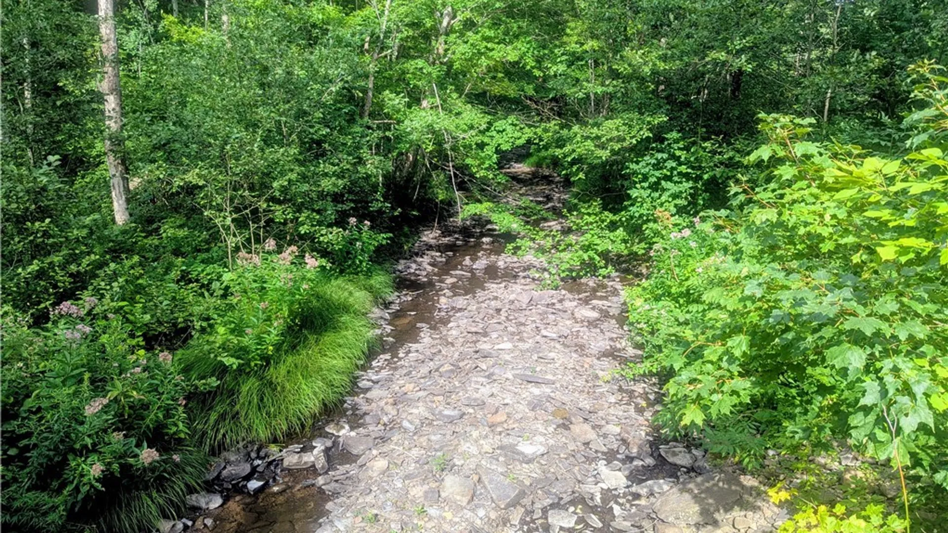 Property at 134 COUNTY ROUTE 50, Orwell, NY 13144 12