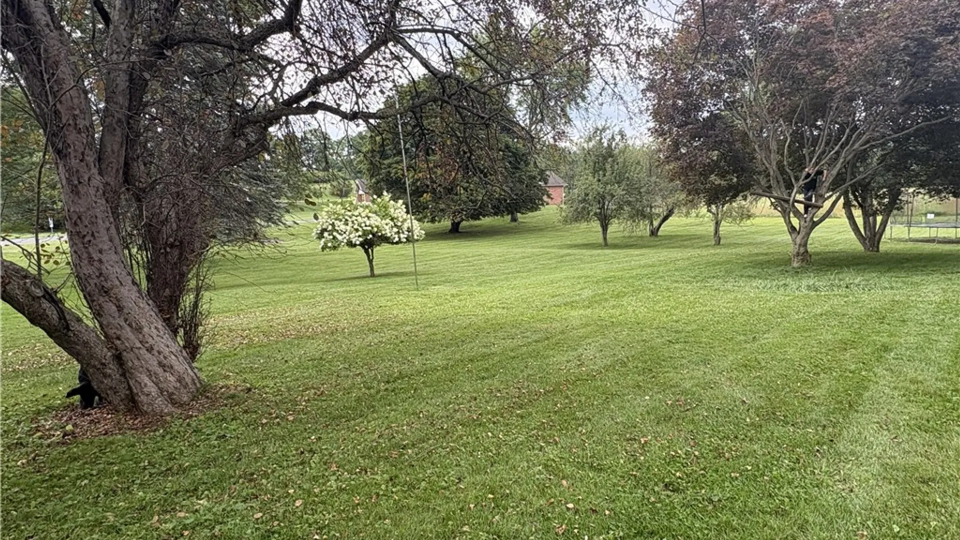 Property at 6956 E Washington Street Extension, Bath, NY 14810 20